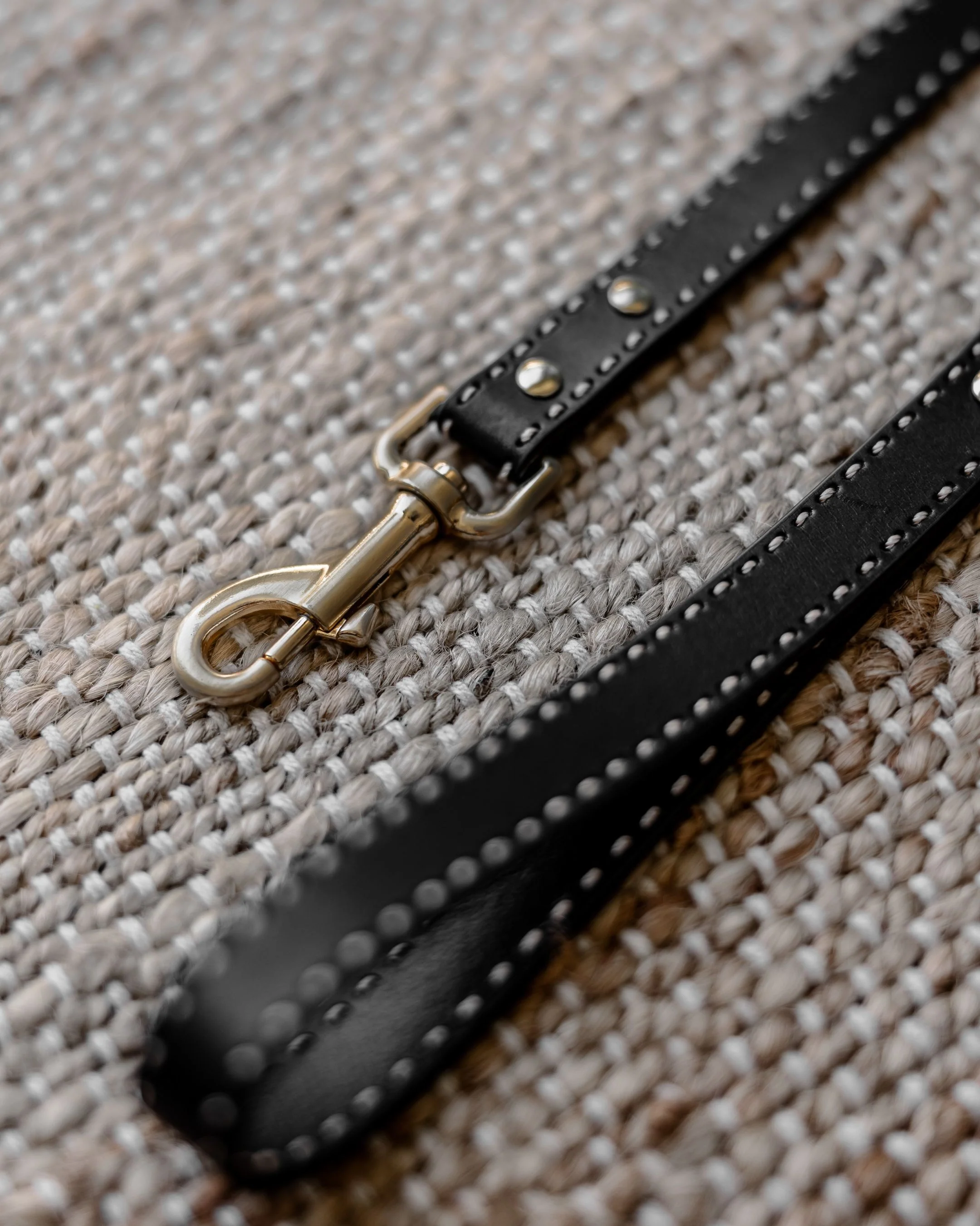 Take the Lead Black Leather Dog Leash - Image 3