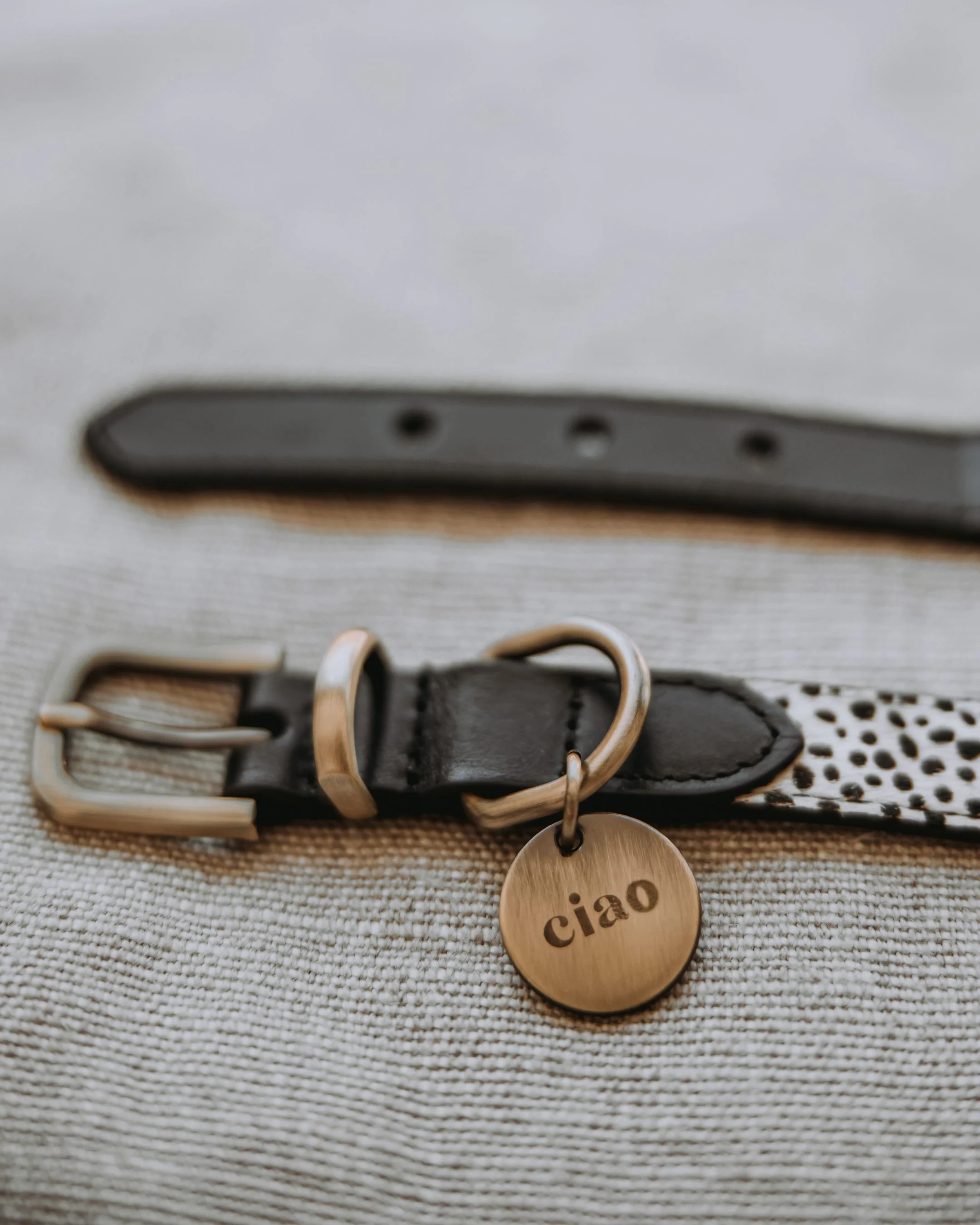 Wylde Black Spotted Pony Fur Dog Collar - Image 3