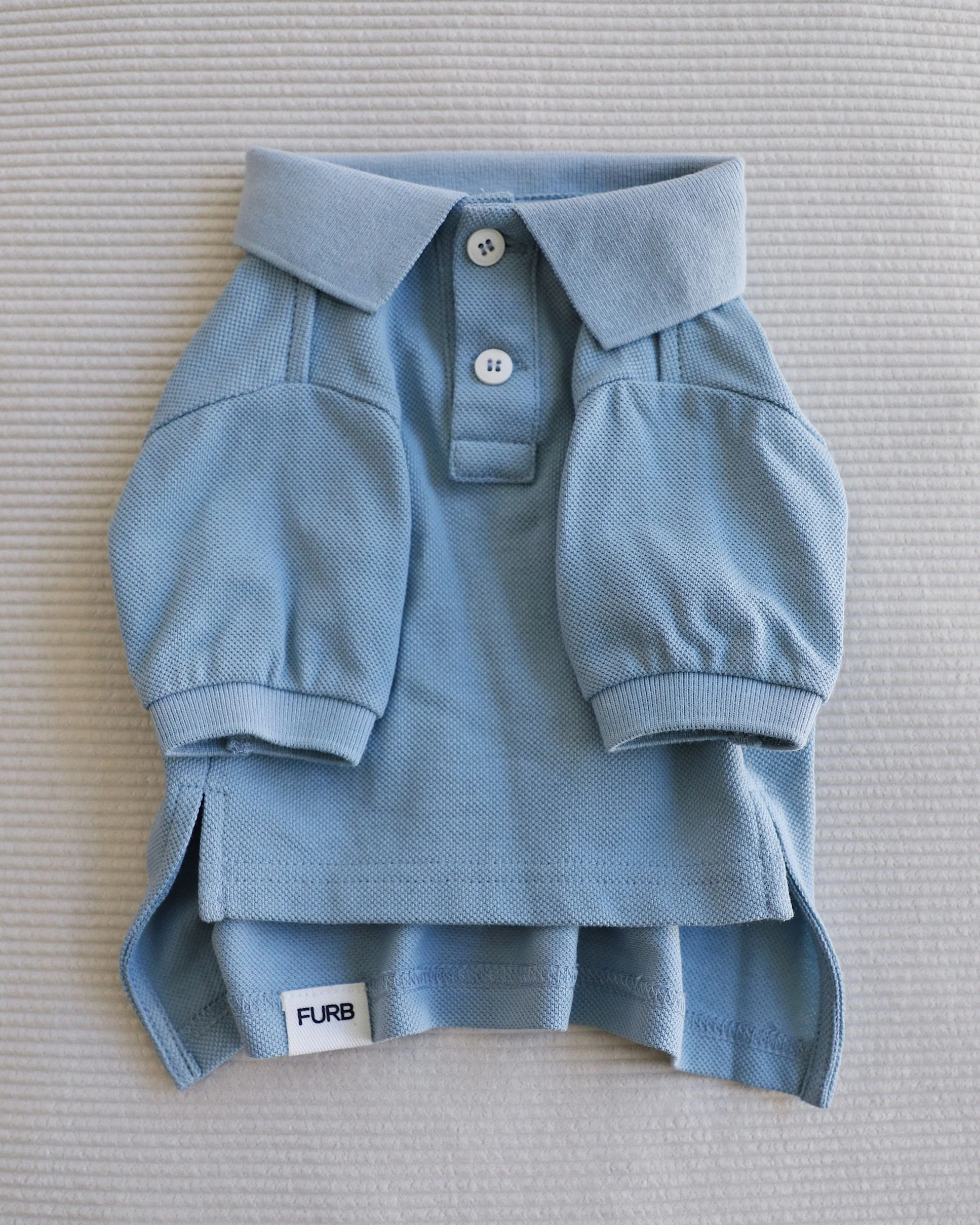 Teacher's Pet Baby Blue Dog Polo