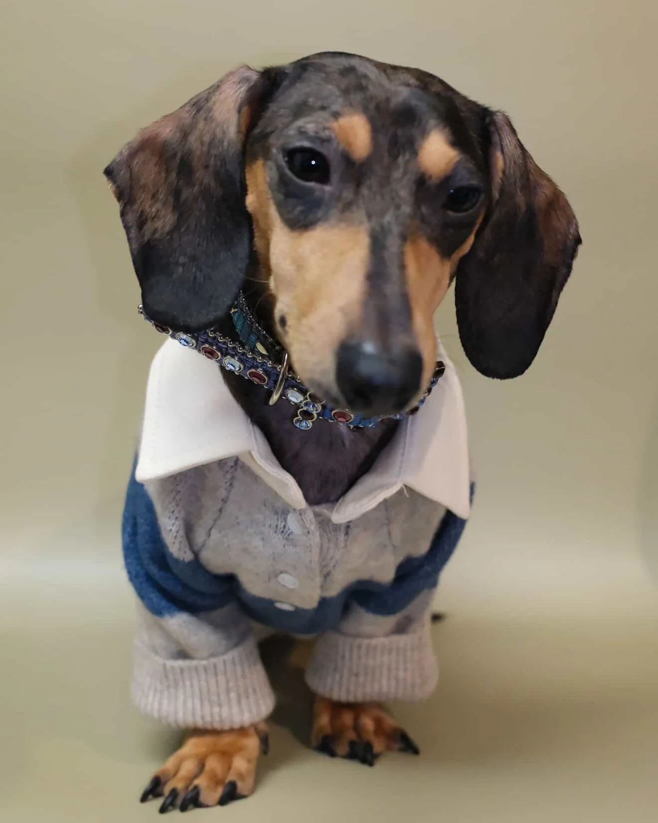 Prep School Pup Blue + Grey Striped Rugby Sweater - Image 5