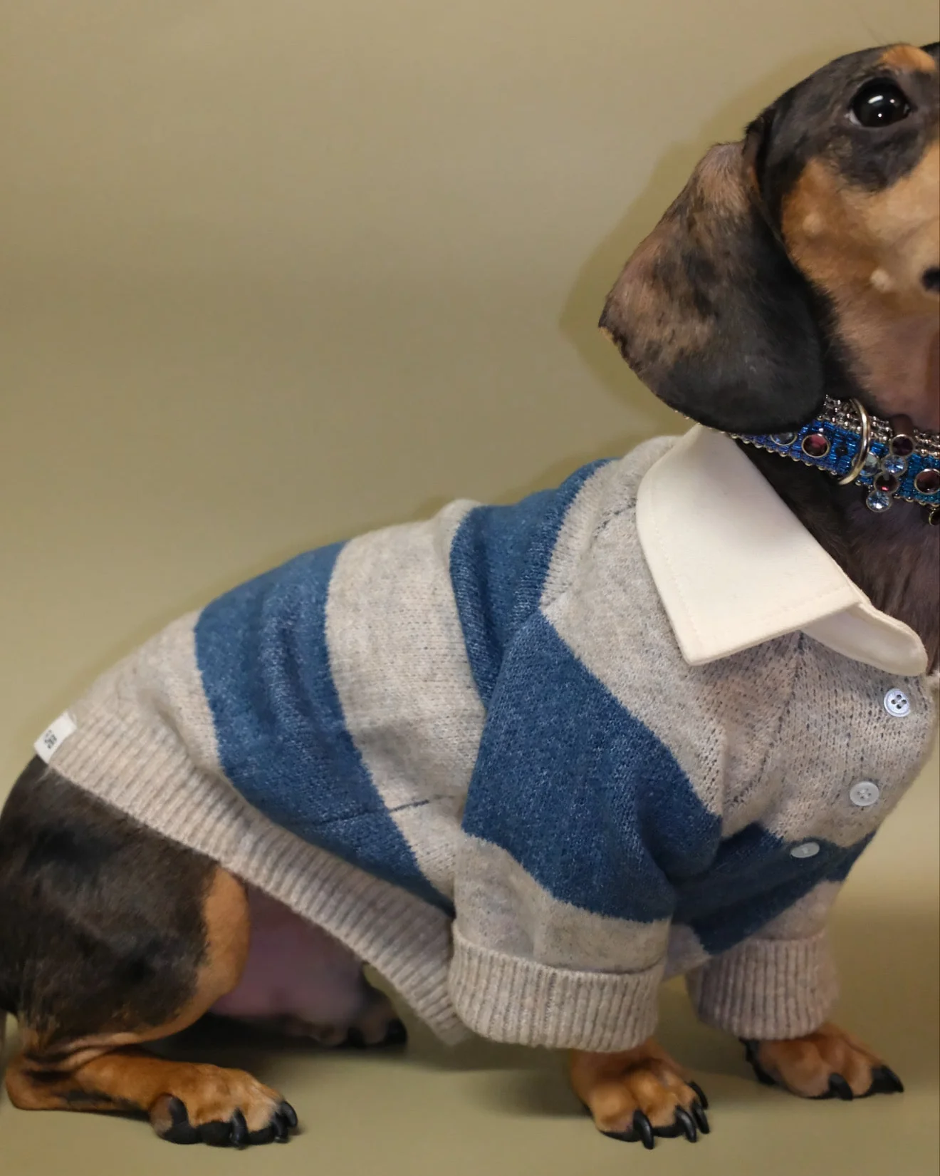 Prep School Pup Blue + Grey Striped Rugby Sweater - Image 6