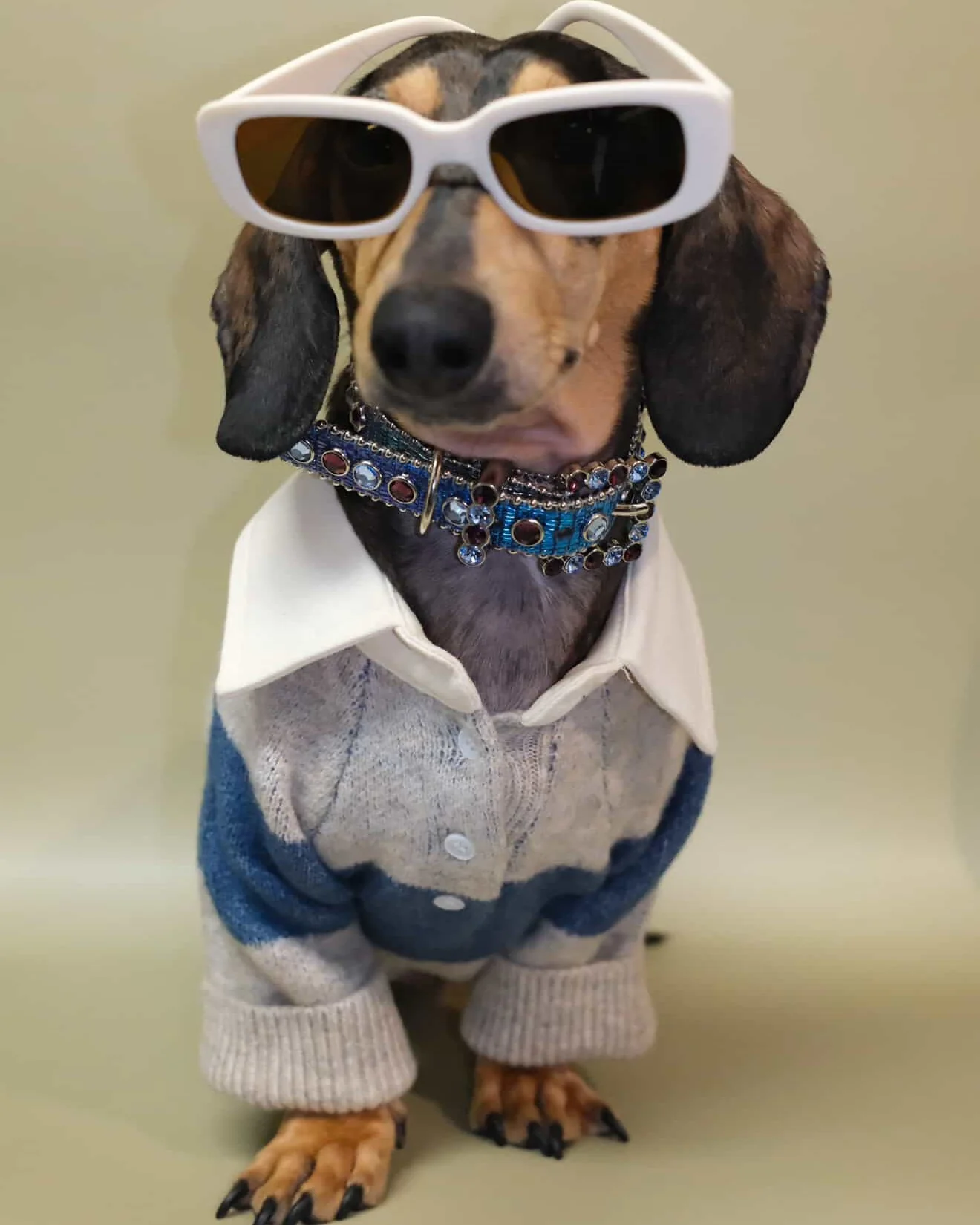Prep School Pup Blue + Grey Striped Rugby Sweater - Image 7