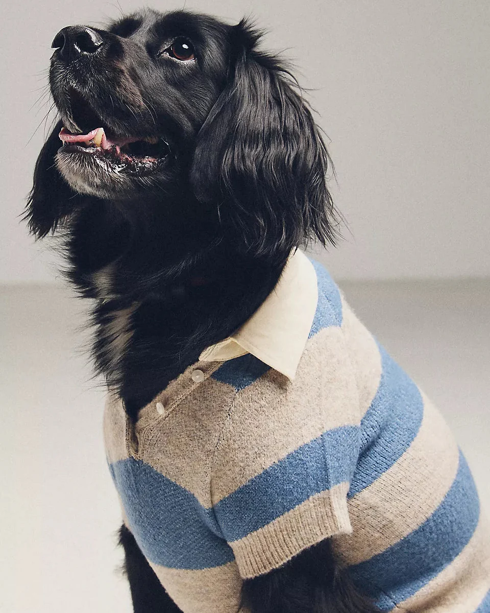 Prep School Pup Blue + Grey Striped Rugby Sweater - Image 5