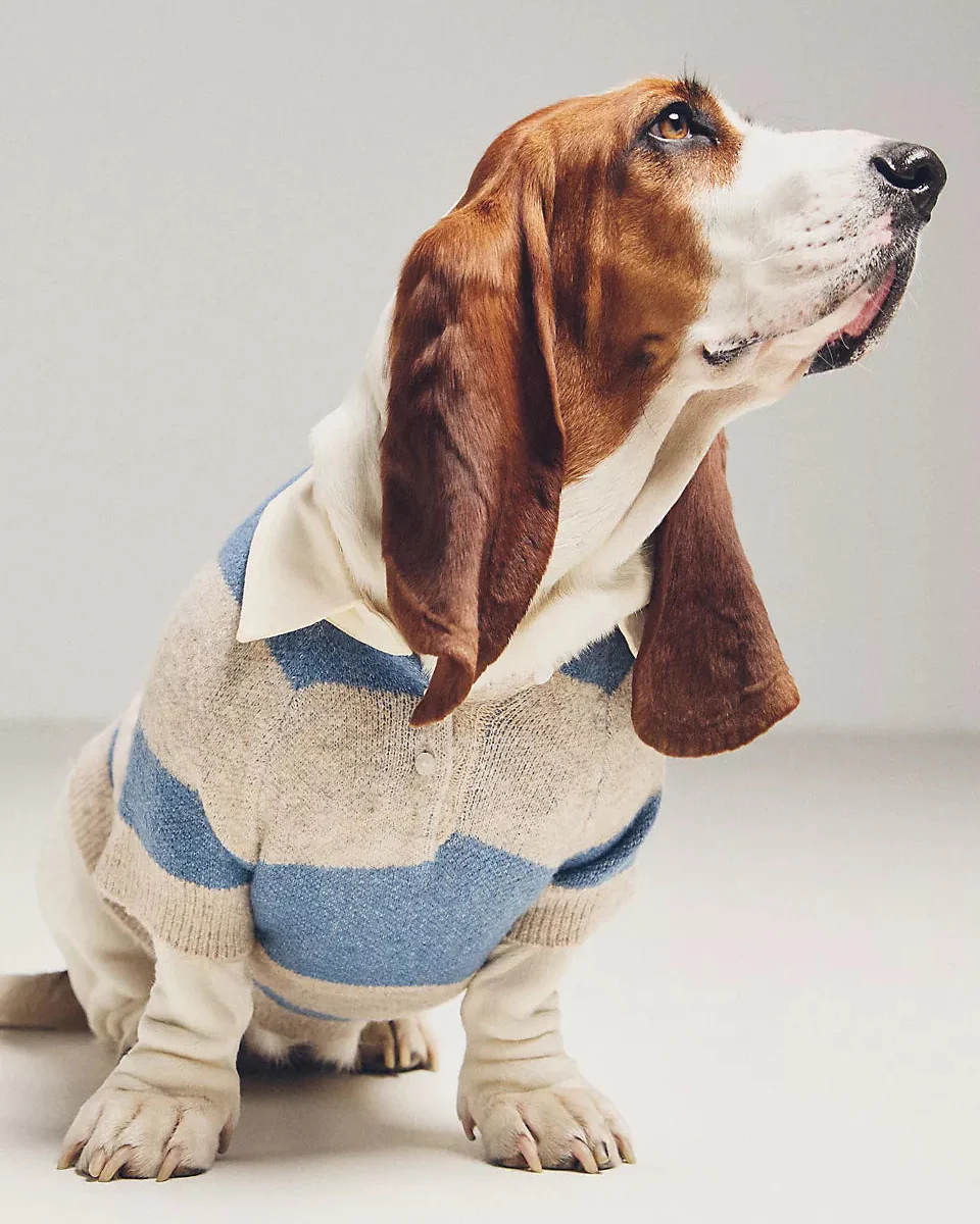 Prep School Pup Blue + Grey Striped Rugby Sweater - Image 6