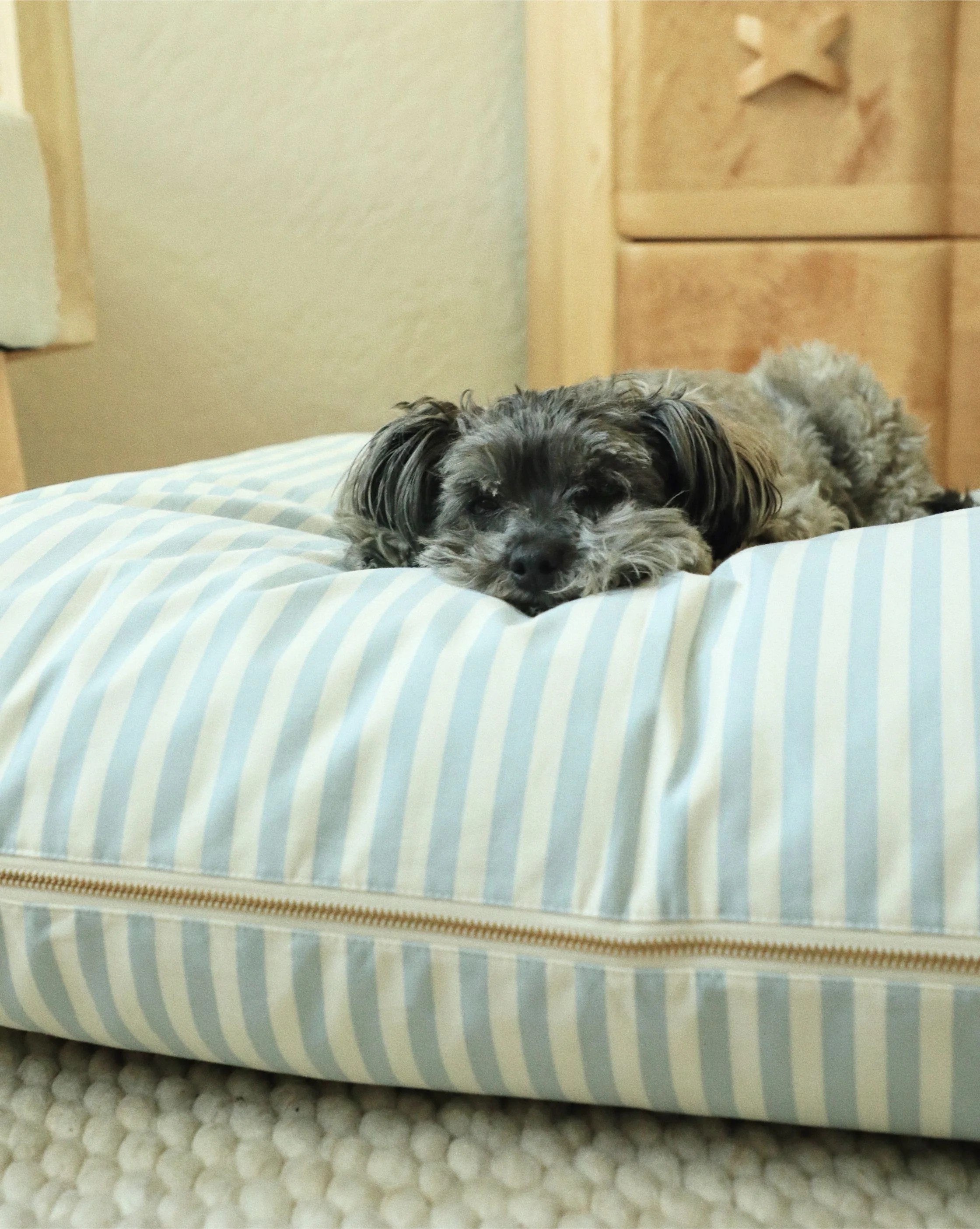 Capri Blue Striped Dog Bed, Cover Only - Image 2