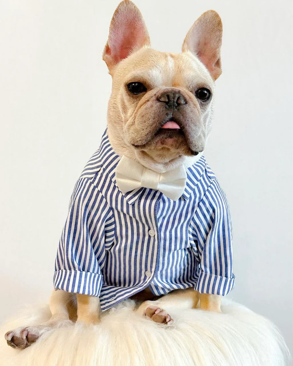 Nantucket Blue + White Striped Button Up - Image 6