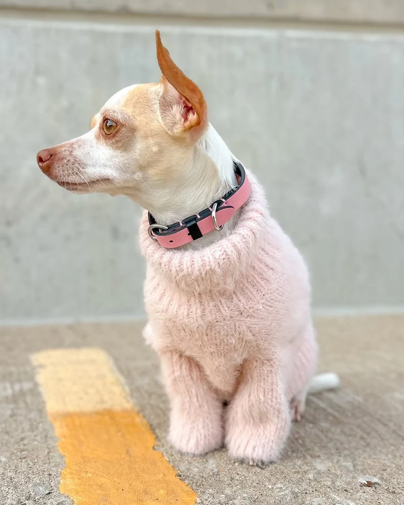 Bobbi Blush Eyelash Knit Dog Sweater - Image 10