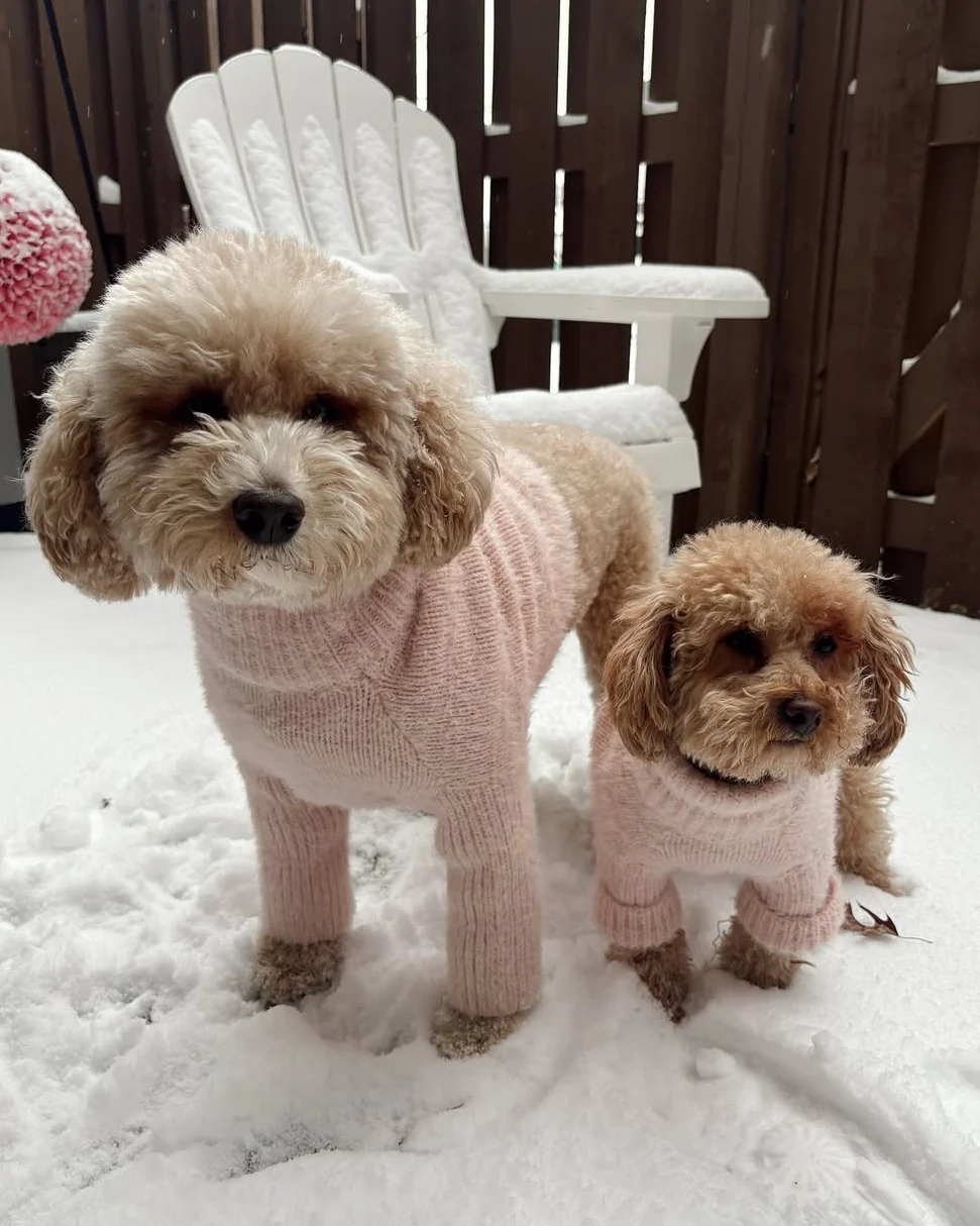 Bobbi Blush Eyelash Knit Dog Sweater - Image 12