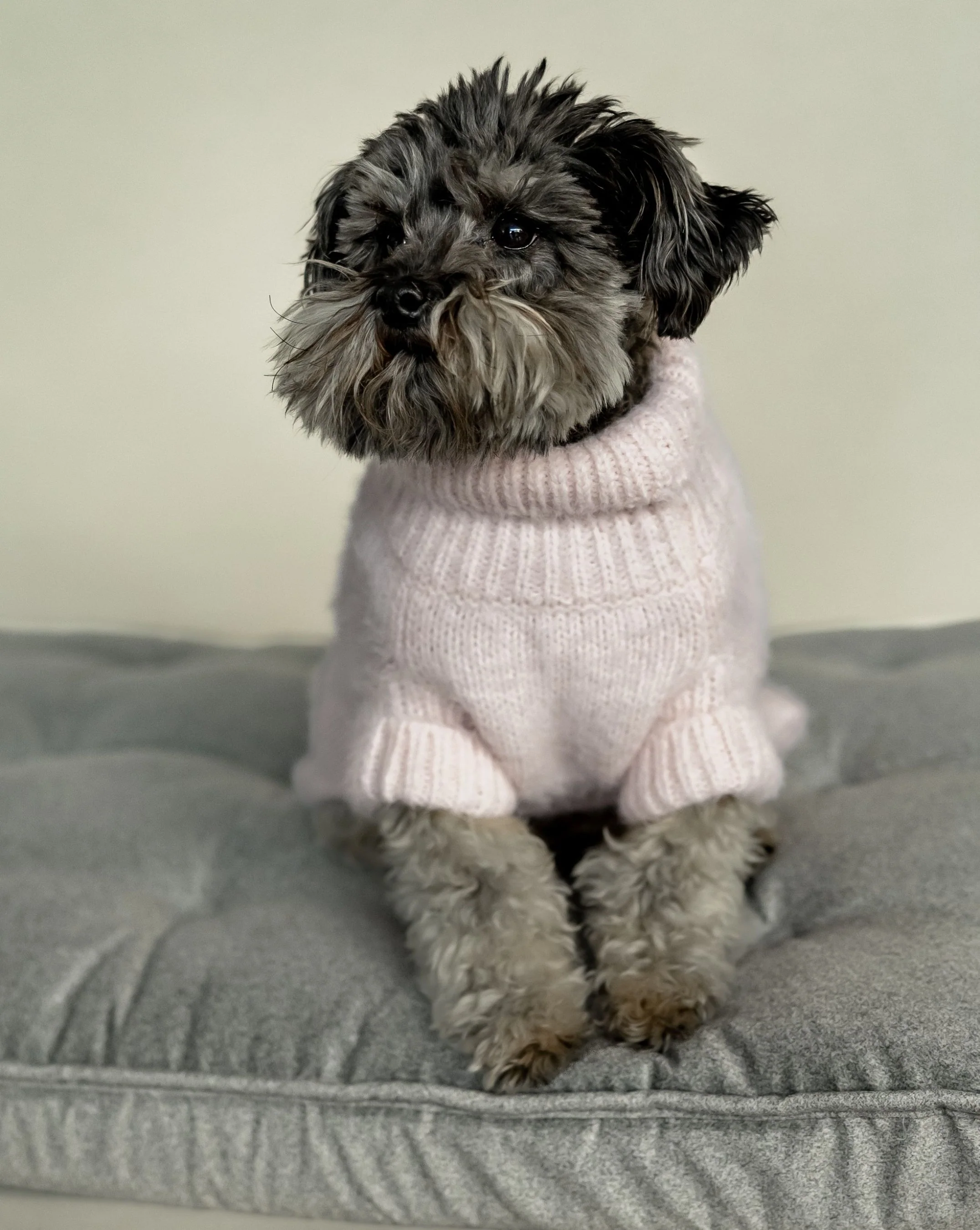 Bobbi Blush Eyelash Knit Dog Sweater - Image 6