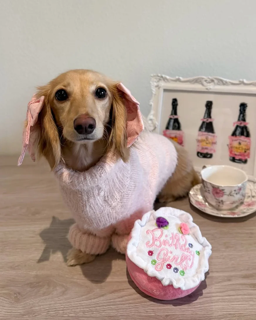 Bobbi Blush Eyelash Knit Dog Sweater - Image 8