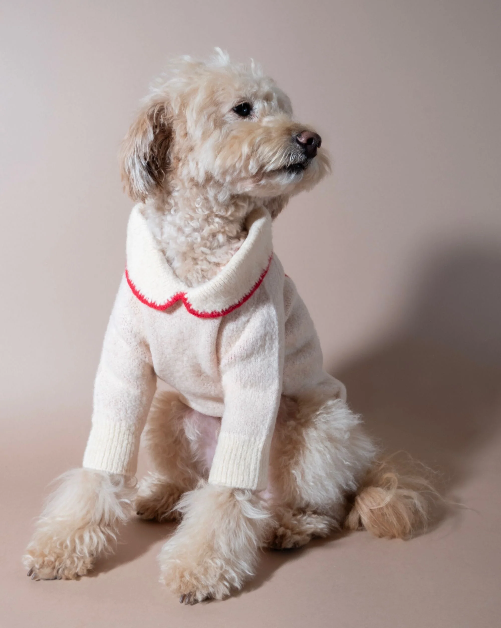 All Wrapped Up Ivory Bow Sweater - Image 10