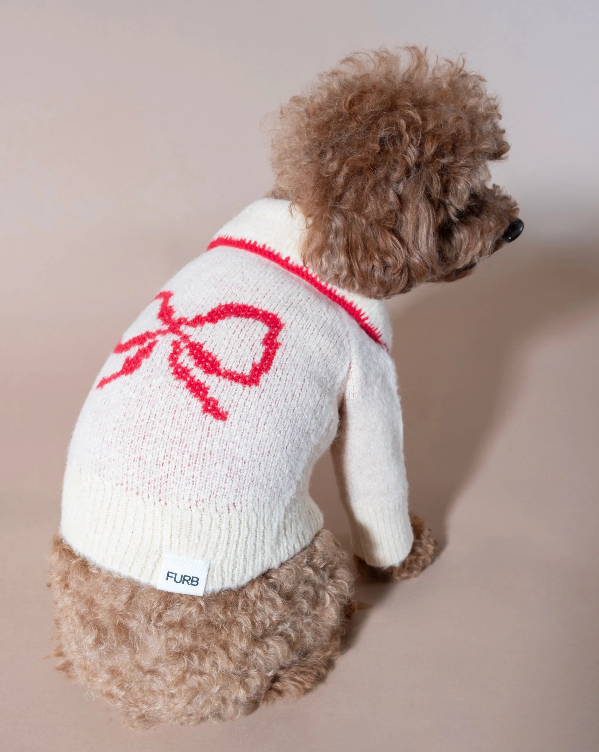 All Wrapped Up Ivory Bow Sweater - Image 2