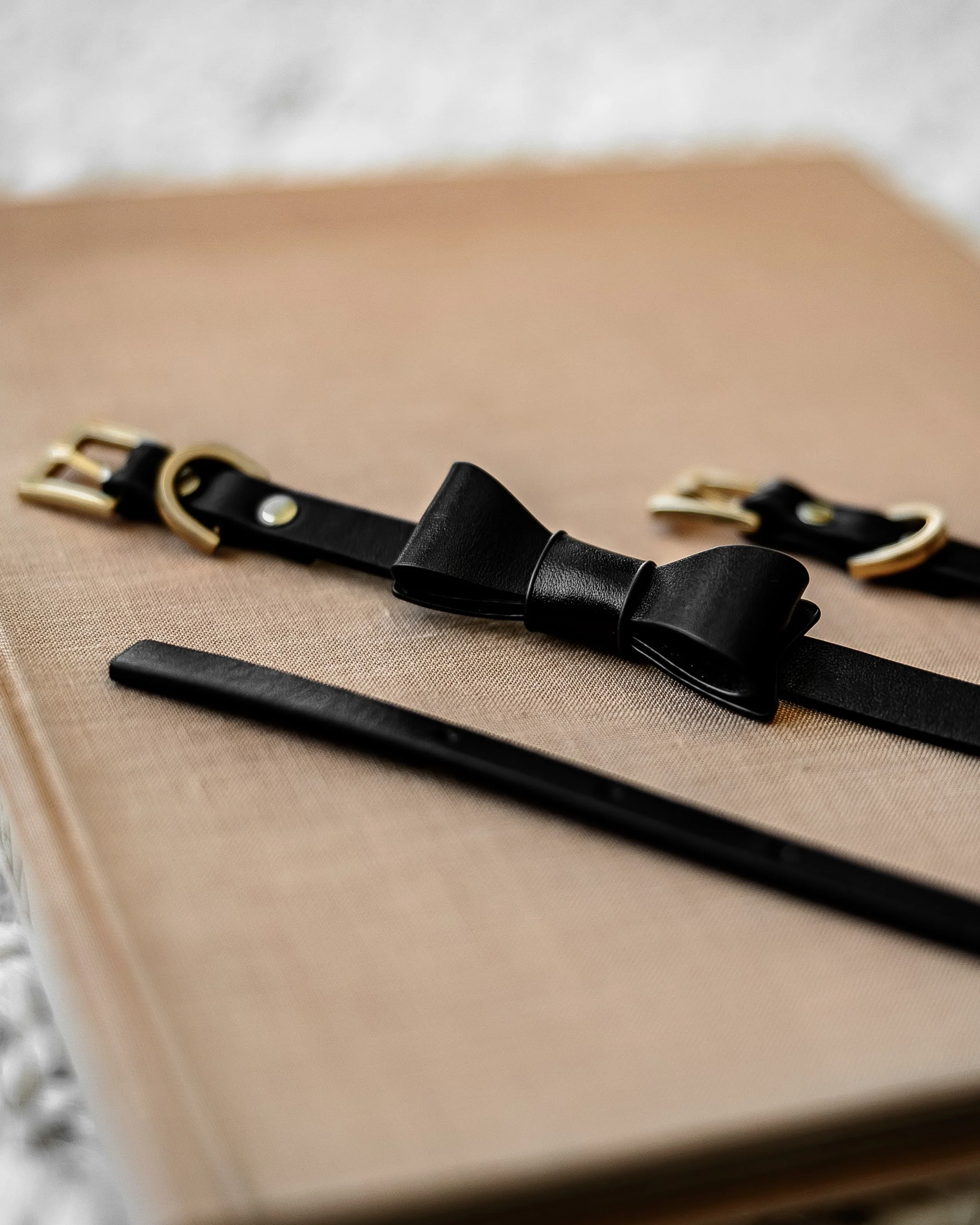 Guestlist Black Bow Tie Dog Collar