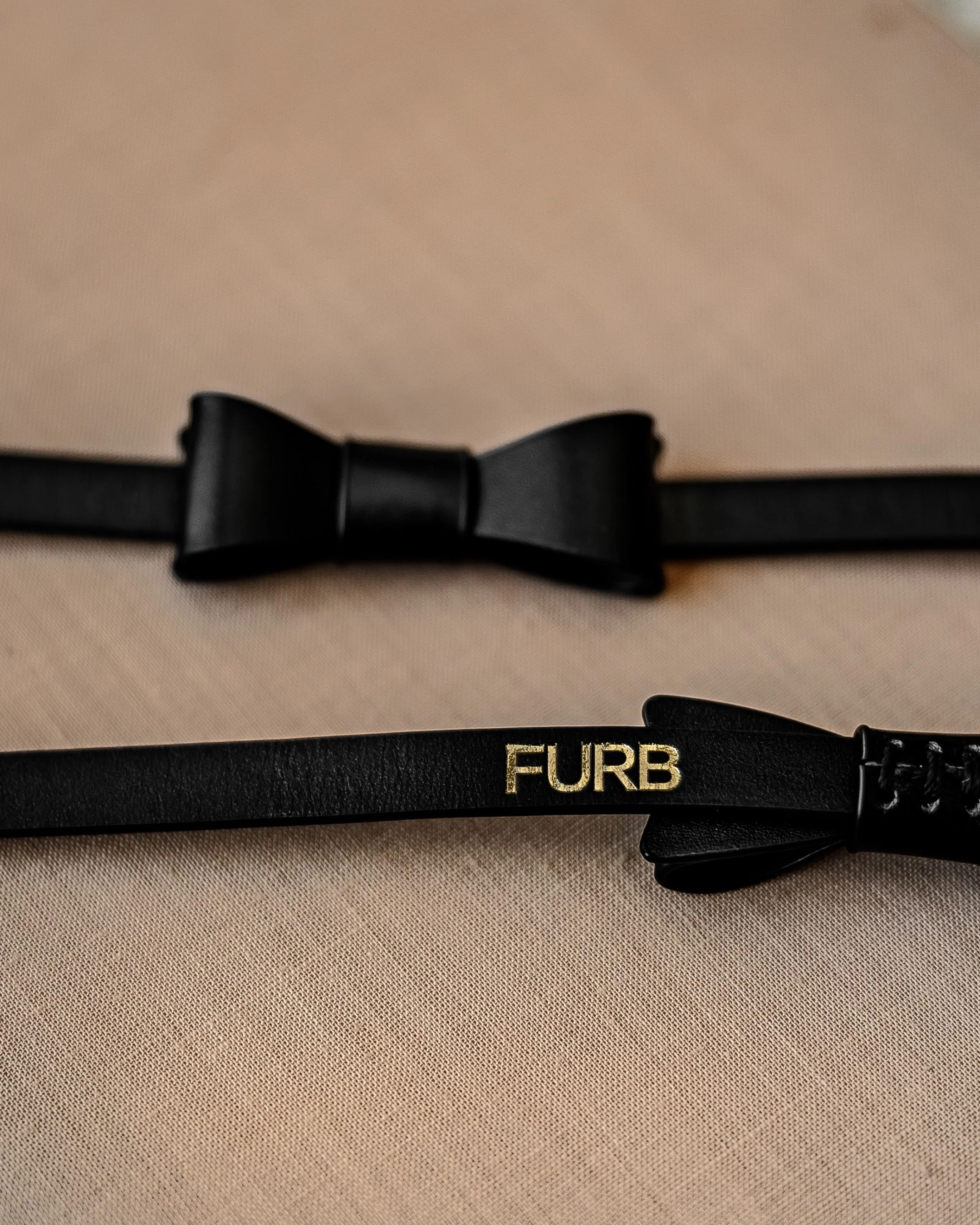 Guestlist Black Bow Tie Dog Collar - Image 3
