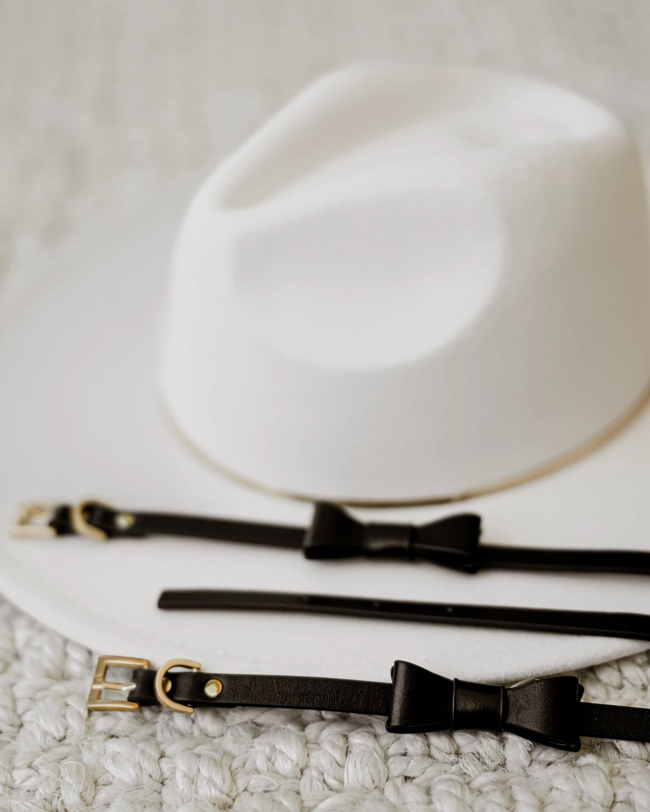 Guestlist Black Bow Tie Dog Collar - Image 4