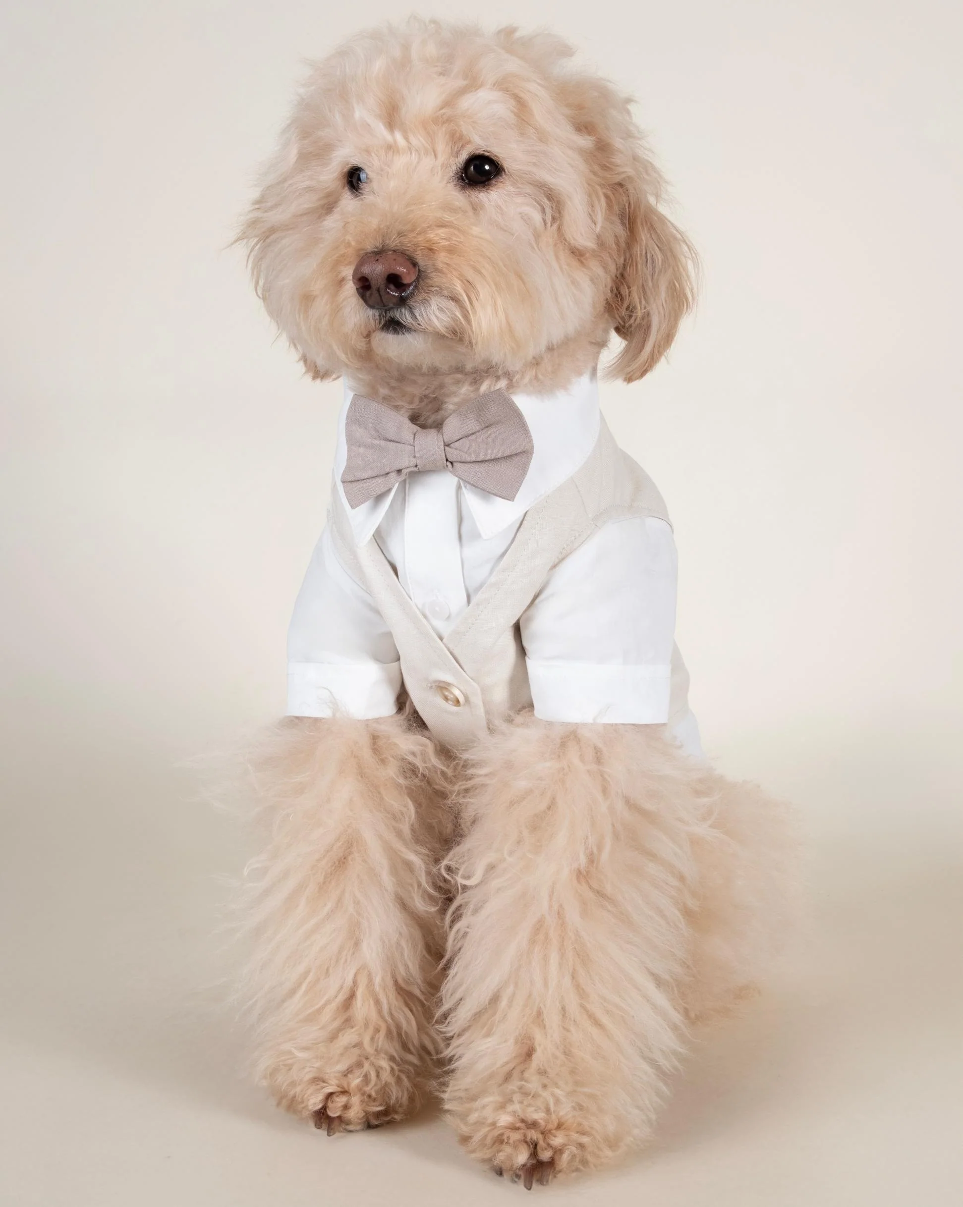 We Do Wedding Three-fer Button Up - Image 3