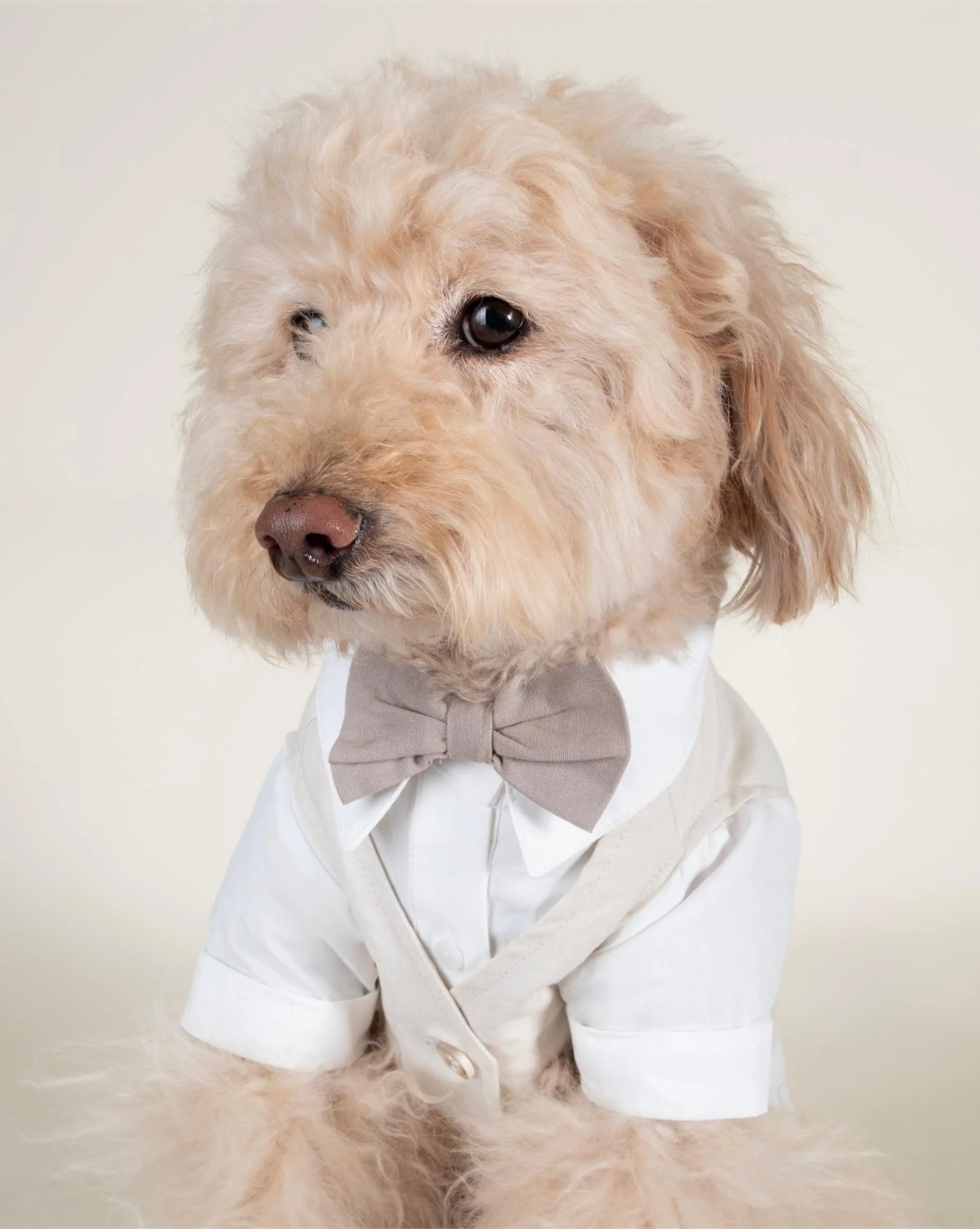 We Do Wedding Three-fer Button Up - Image 7