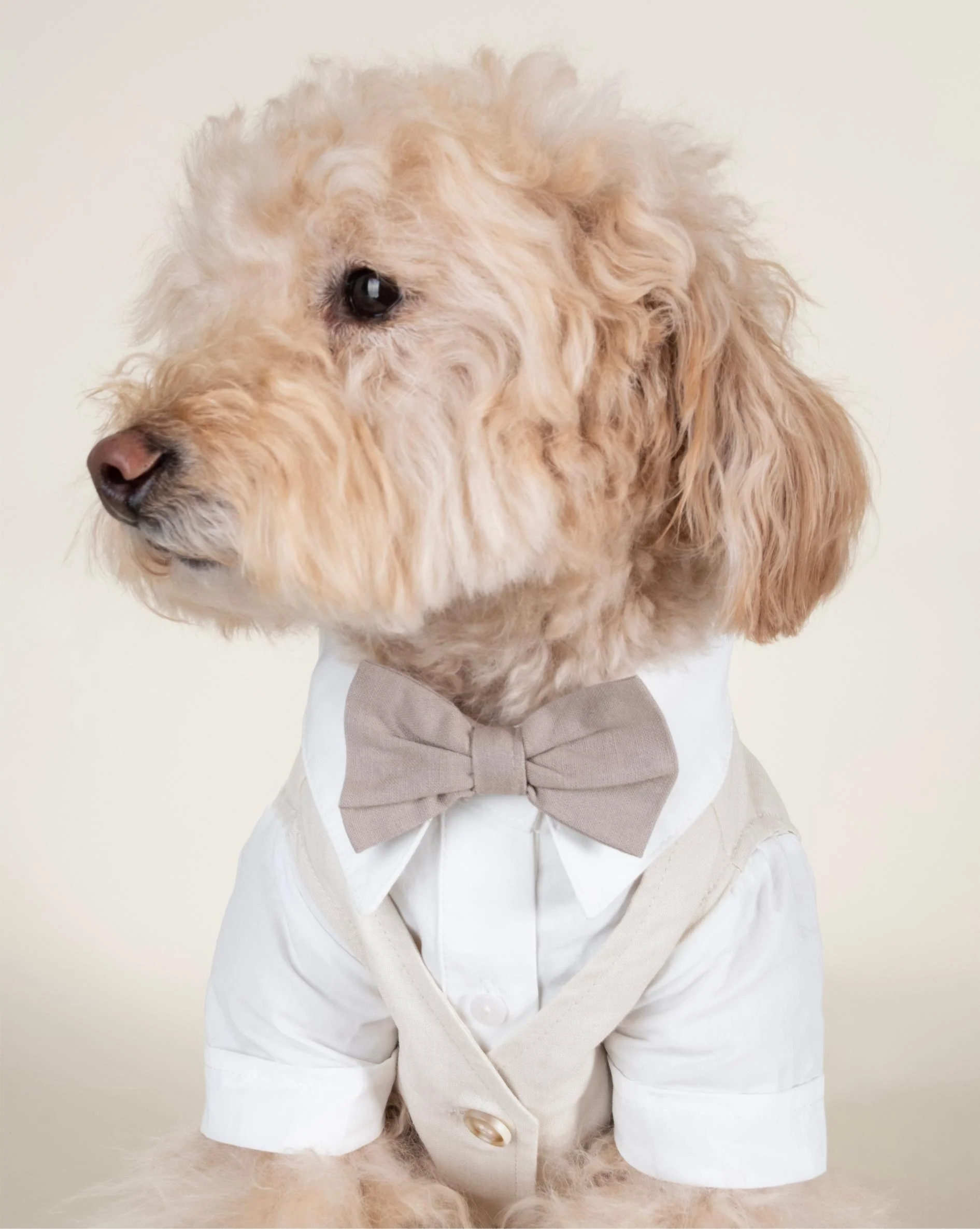 We Do Wedding Three-fer Button Up