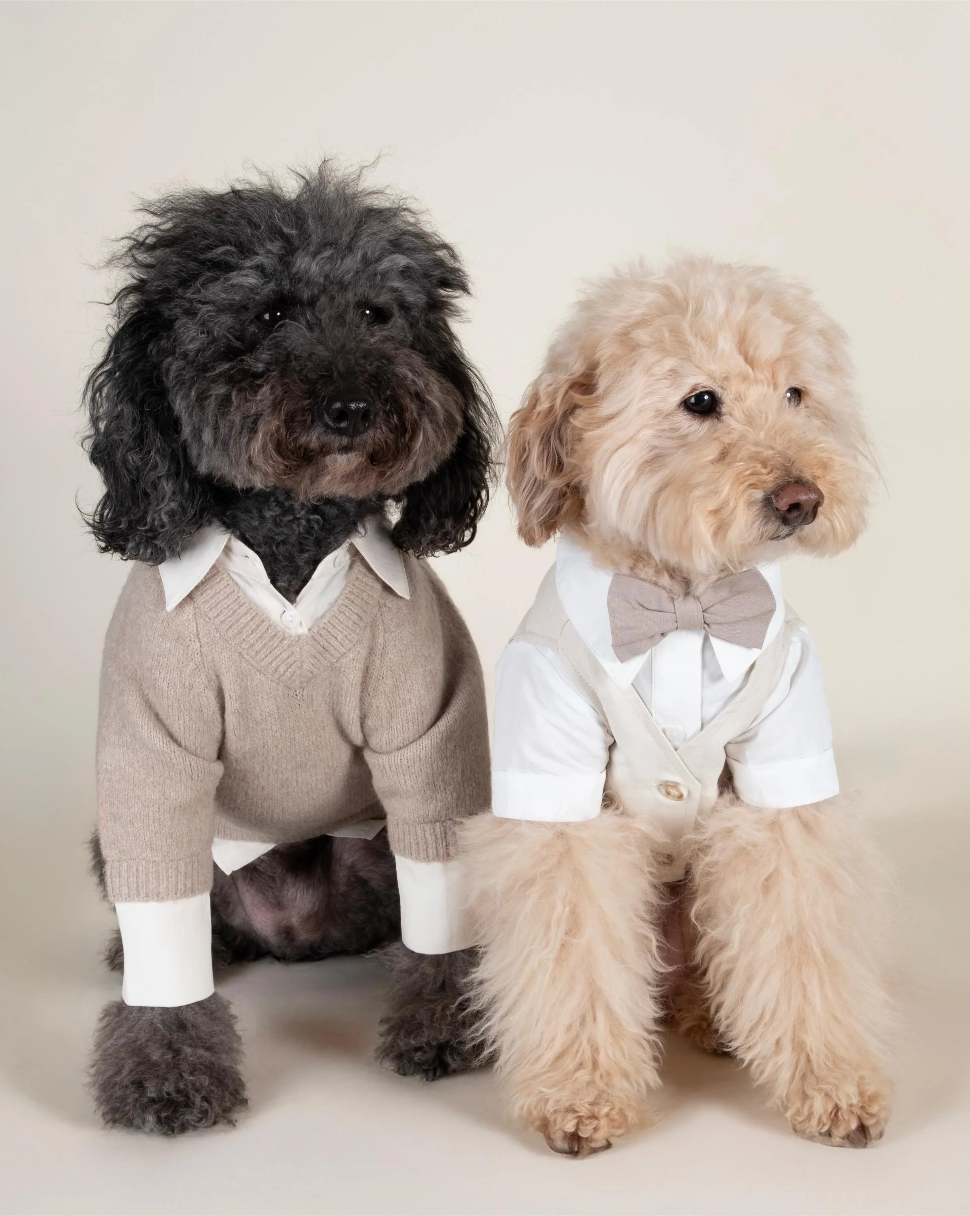 We Do Wedding Three-fer Button Up - Image 10
