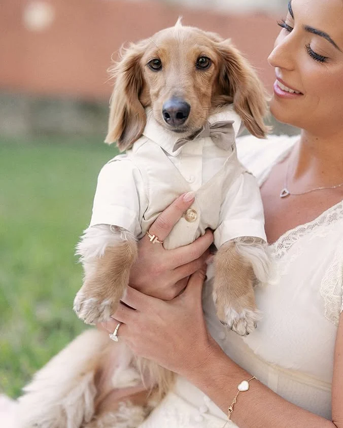 We Do Wedding Three-fer Button Up - Image 11