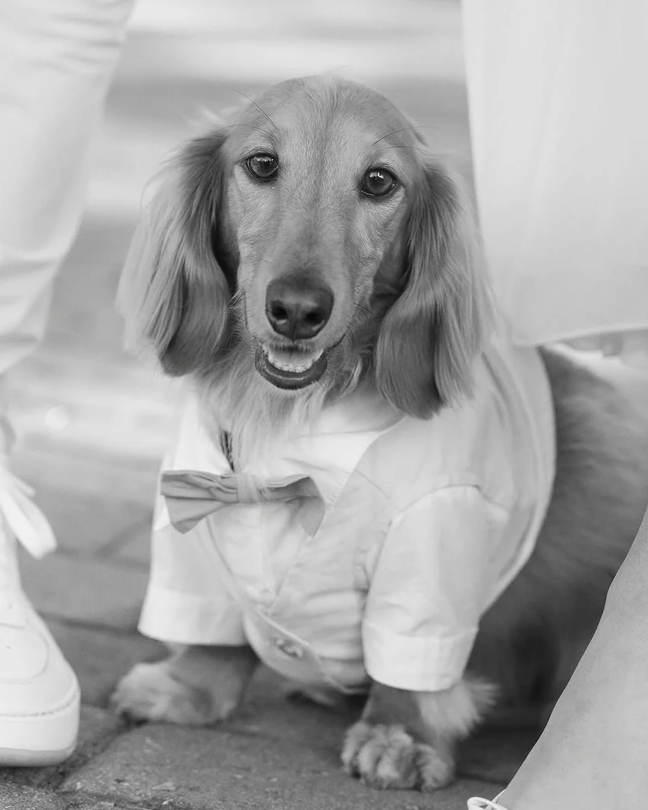We Do Wedding Three-fer Button Up - Image 12