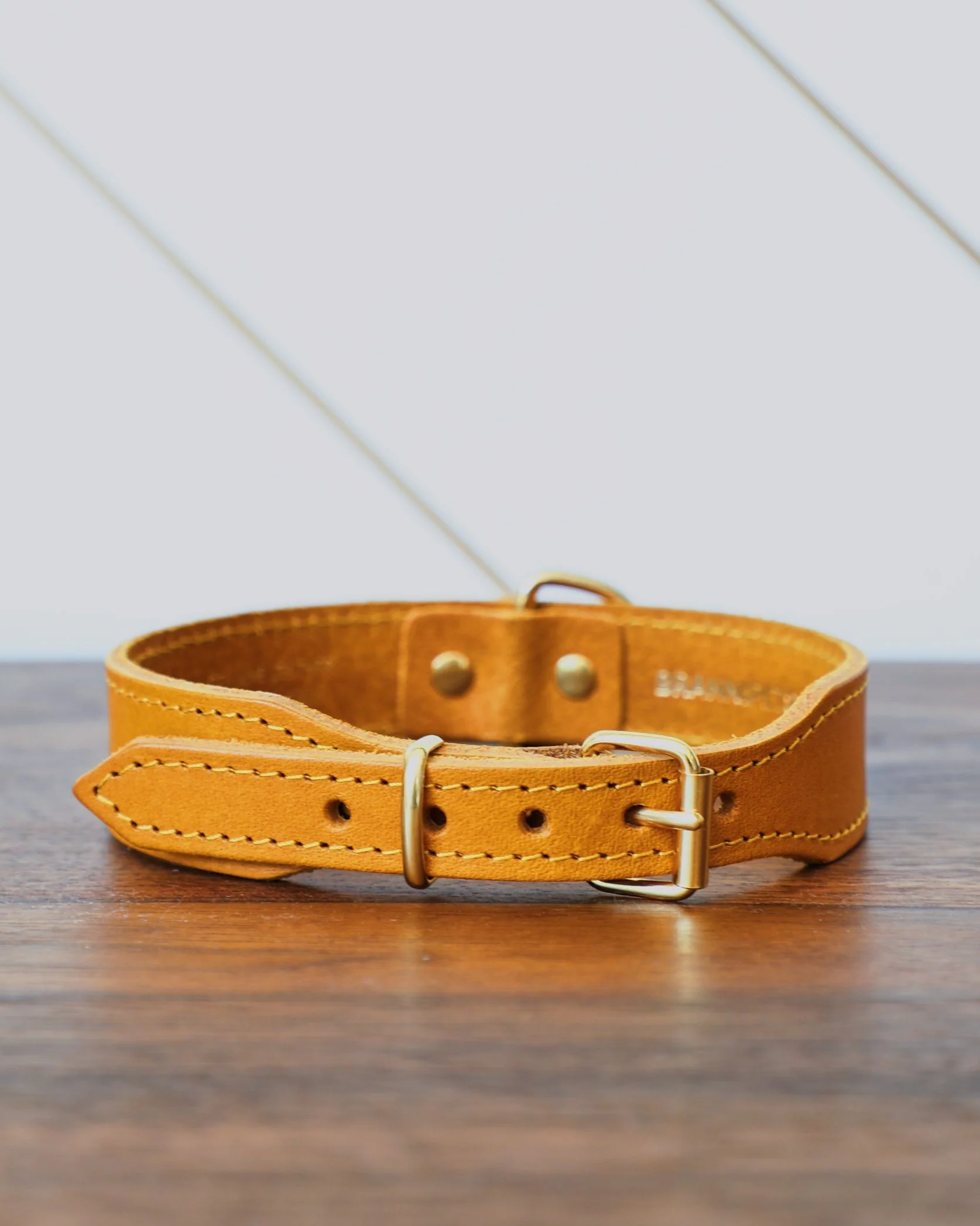 Rocco Leather Collar in Yellow