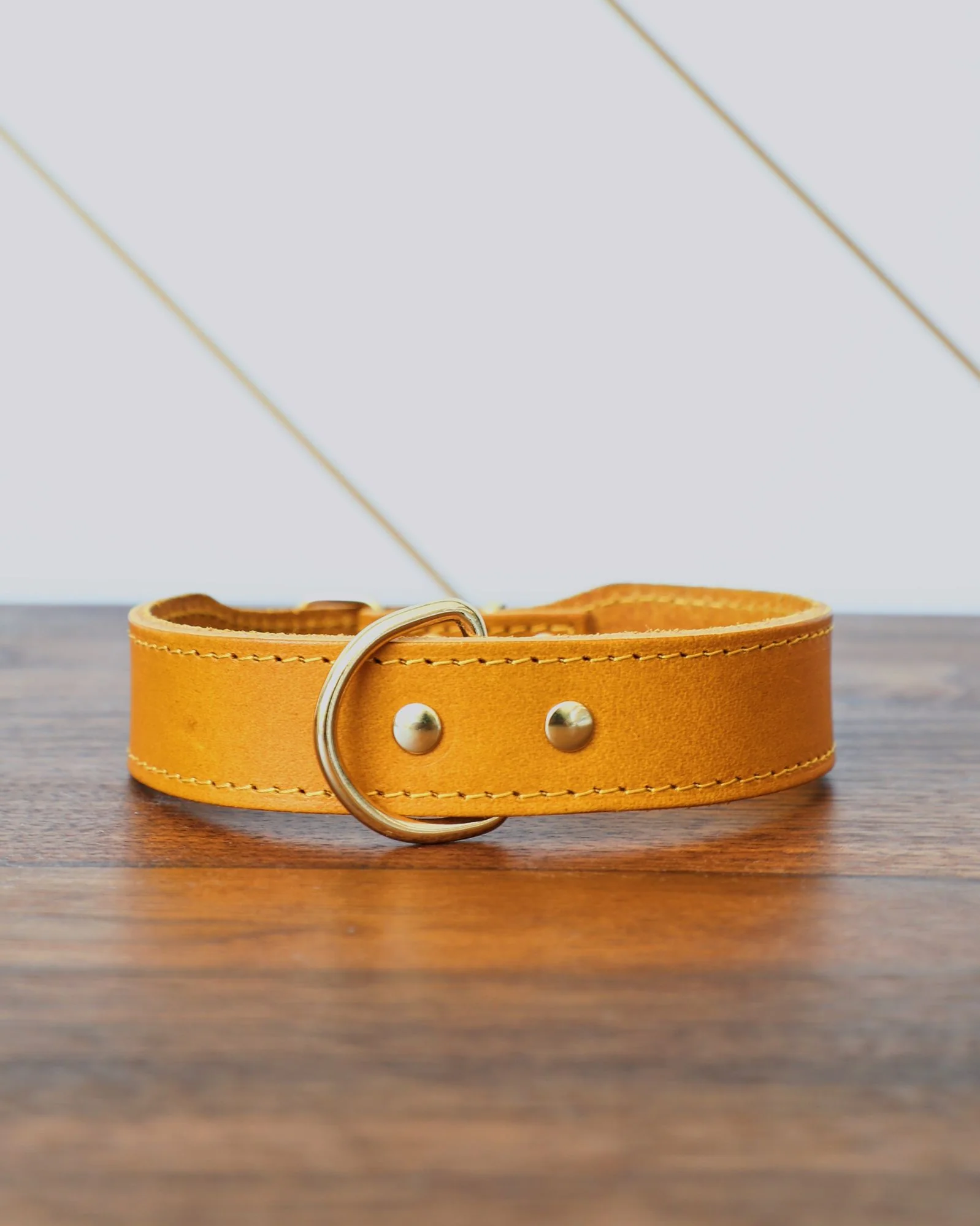 Rocco Leather Collar in Yellow - Image 2