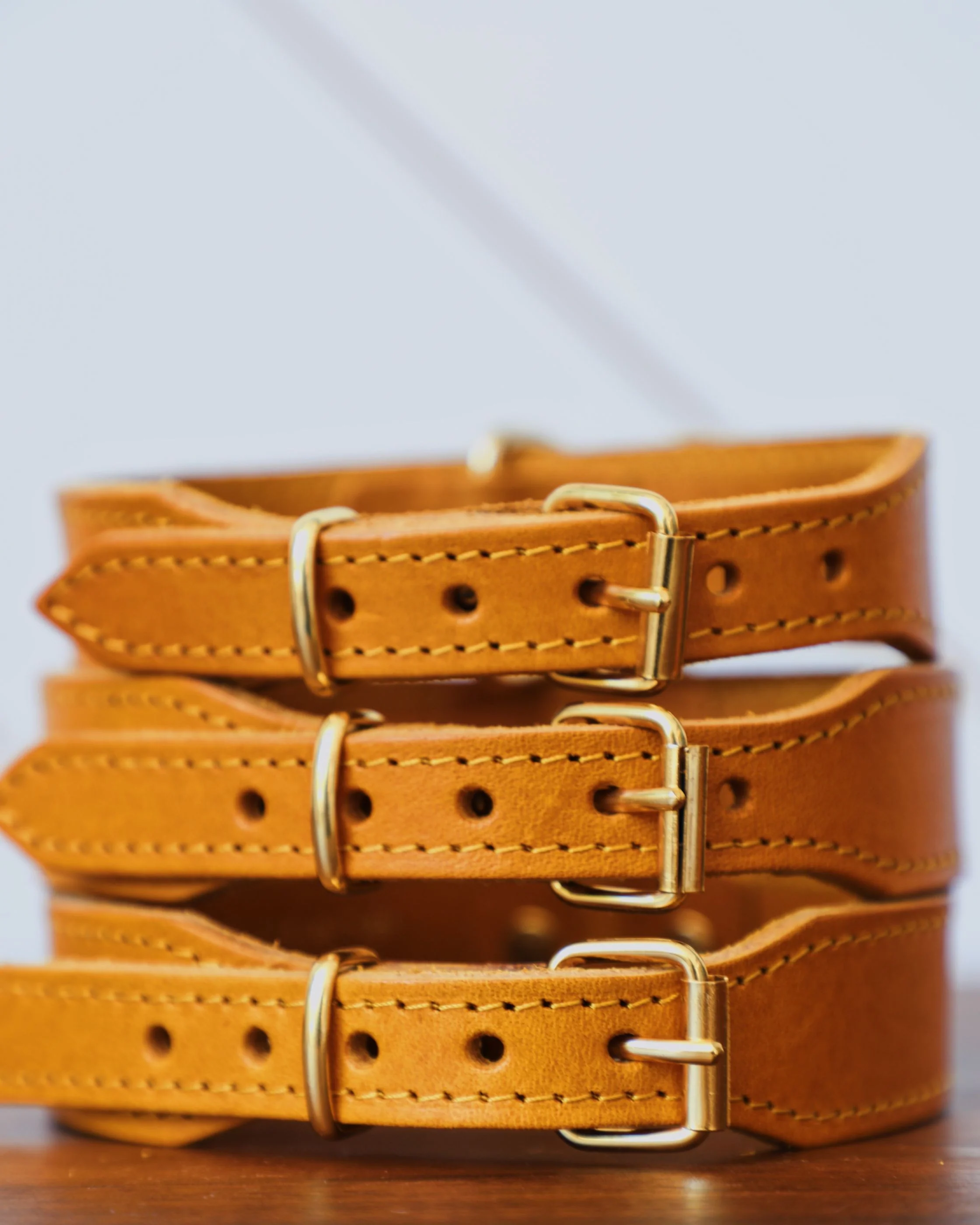 Rocco Leather Collar in Yellow - Image 4