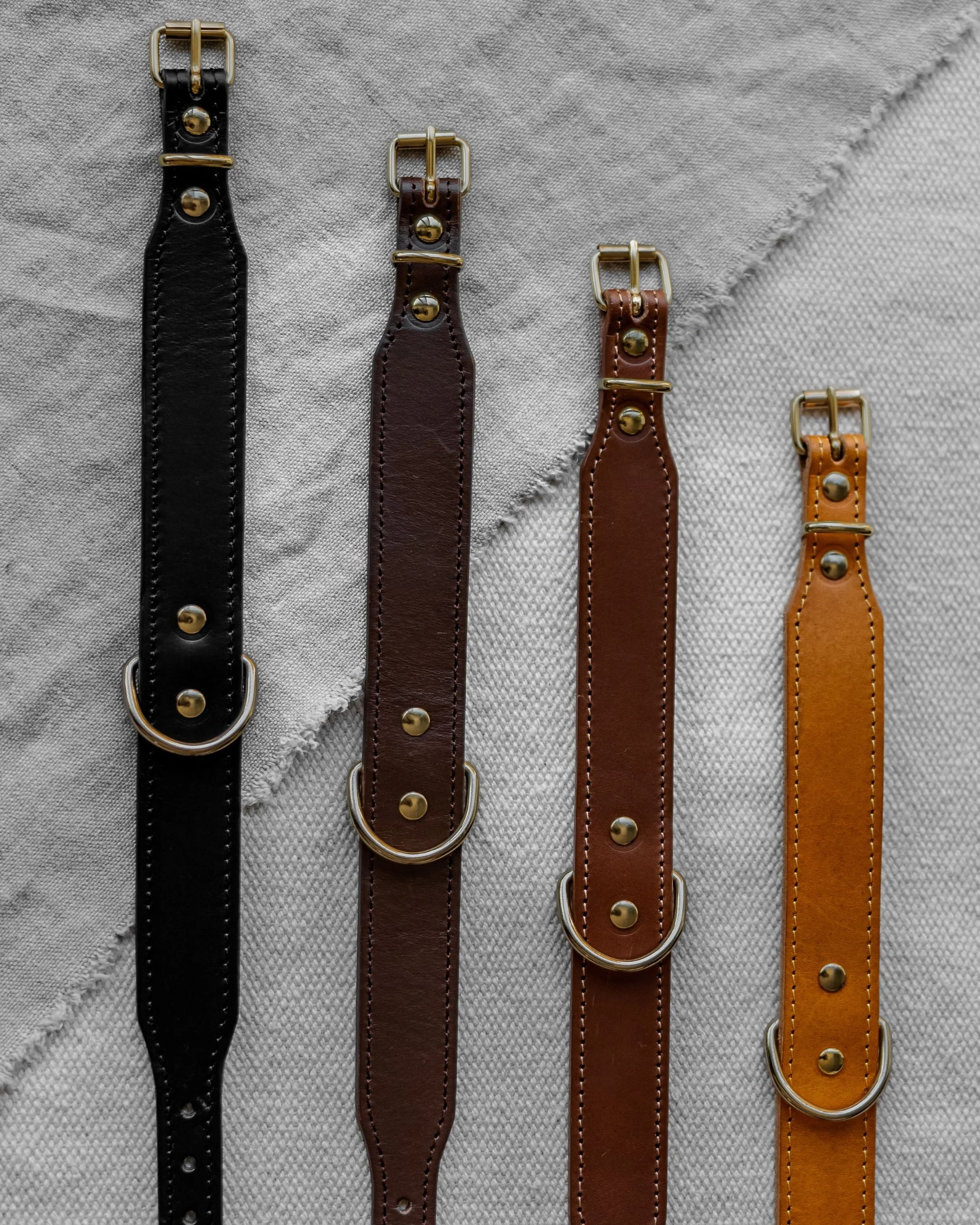 Rocco Leather Collar in Yellow - Image 5