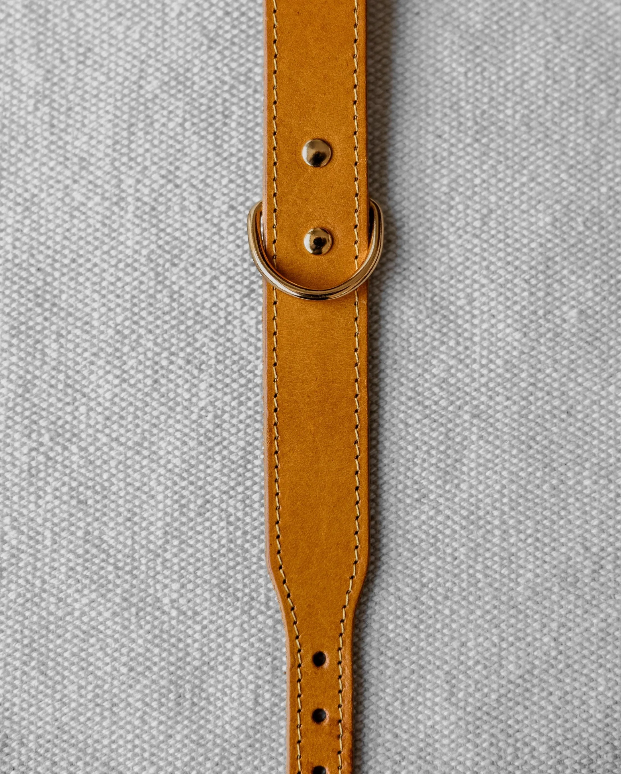 Rocco Leather Collar in Yellow - Image 6