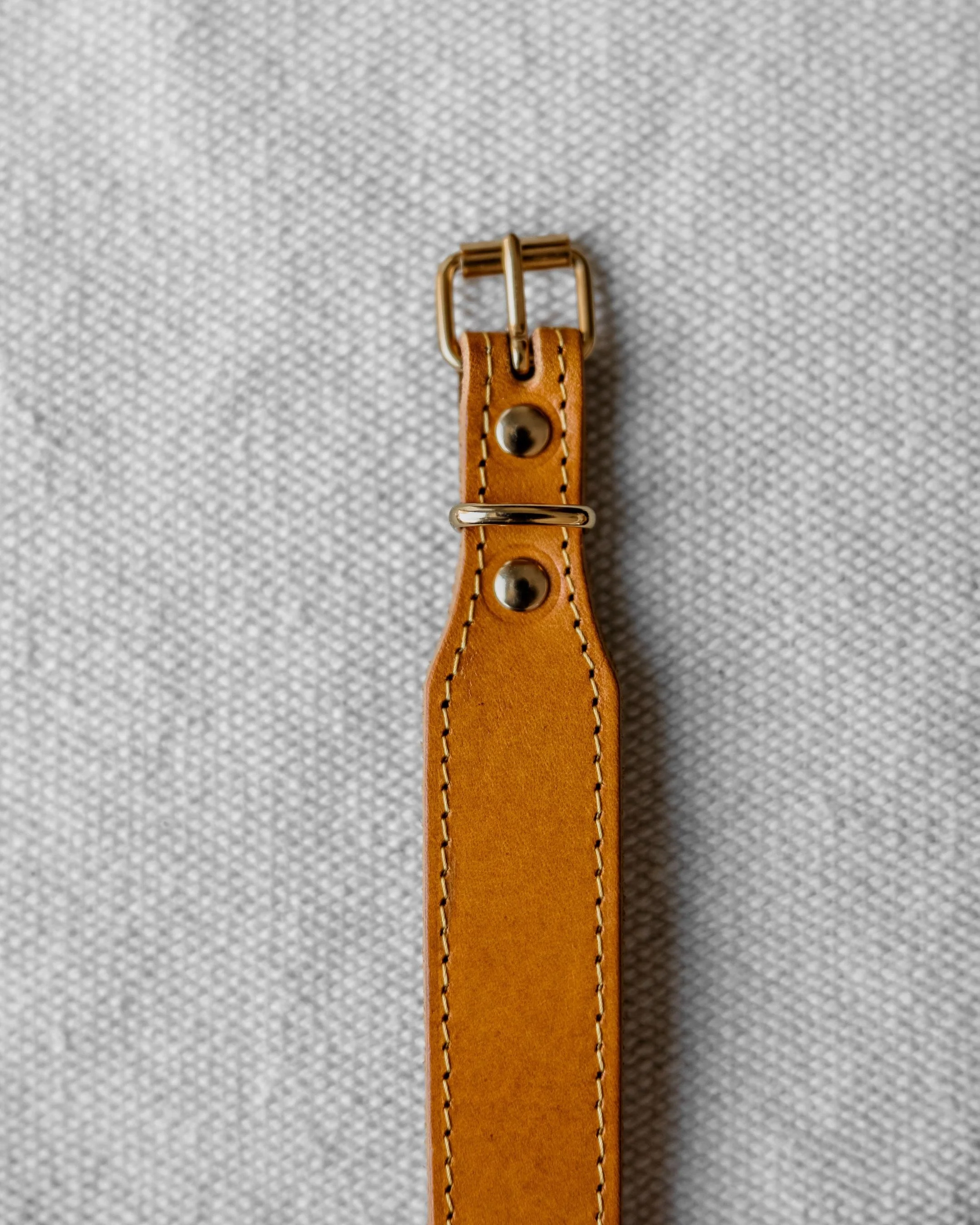 Rocco Leather Collar in Yellow - Image 8