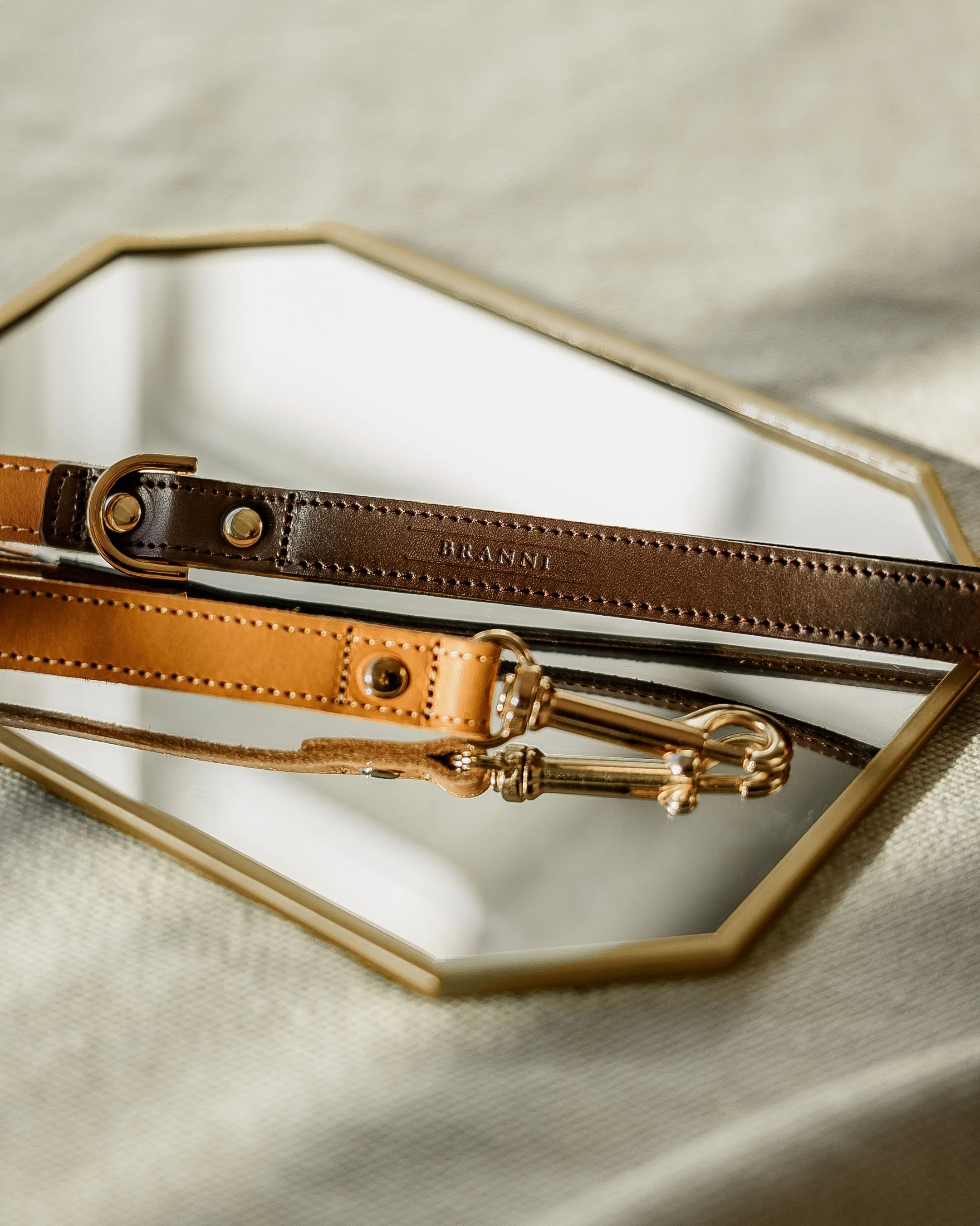 Rocco Tan + Brown Leather Dog Leash - Image 3