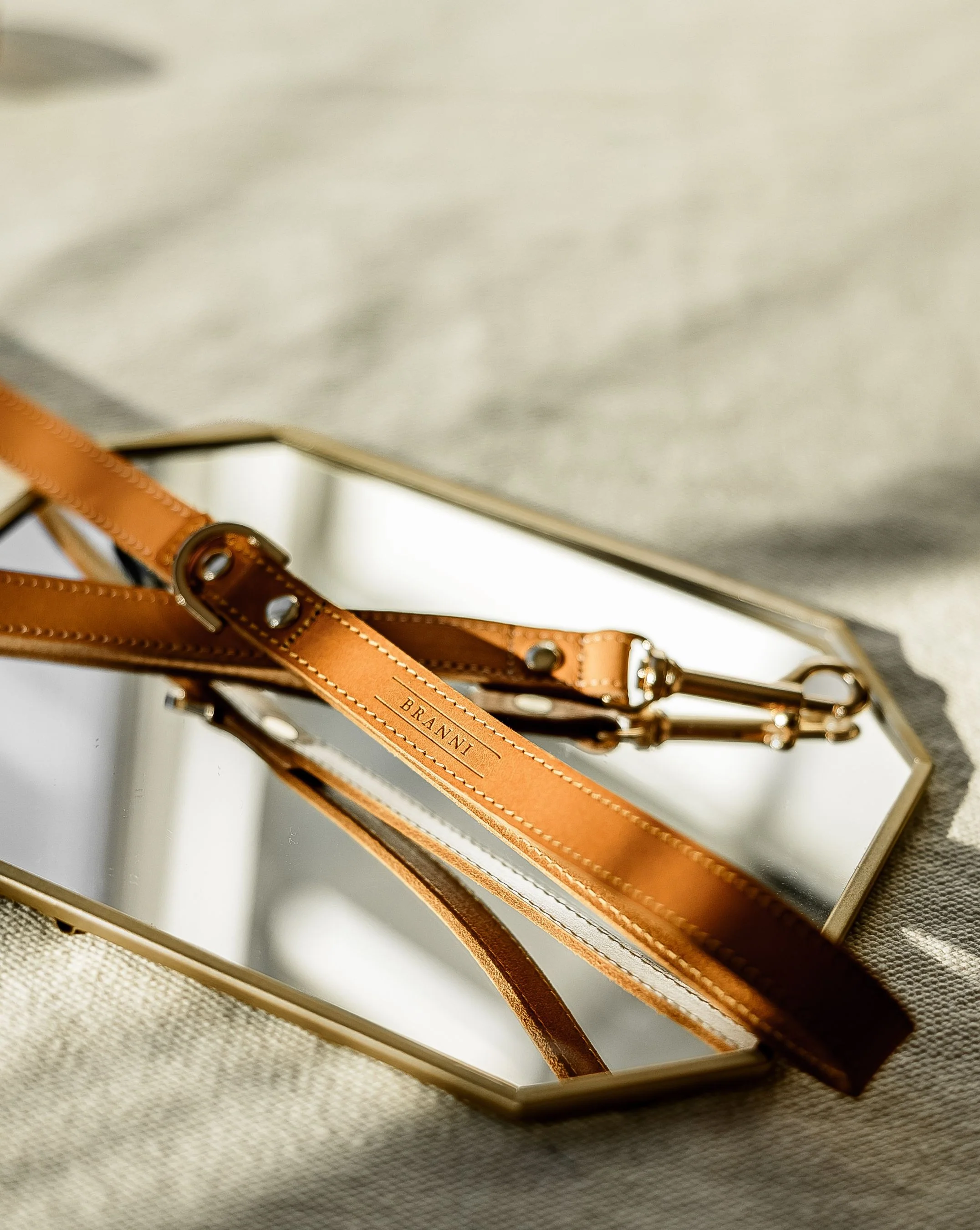 Rocco Tan + Yellow Leather Dog Leash - Image 3