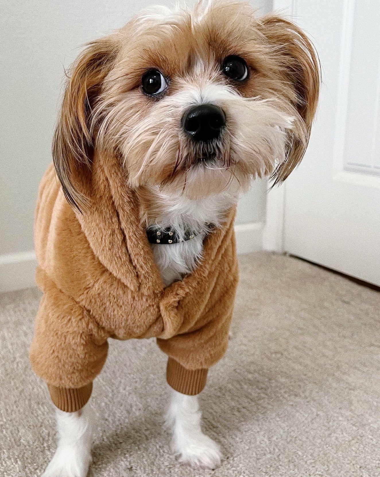 Juneau Brown Reversible Dog Jacket - Image 2