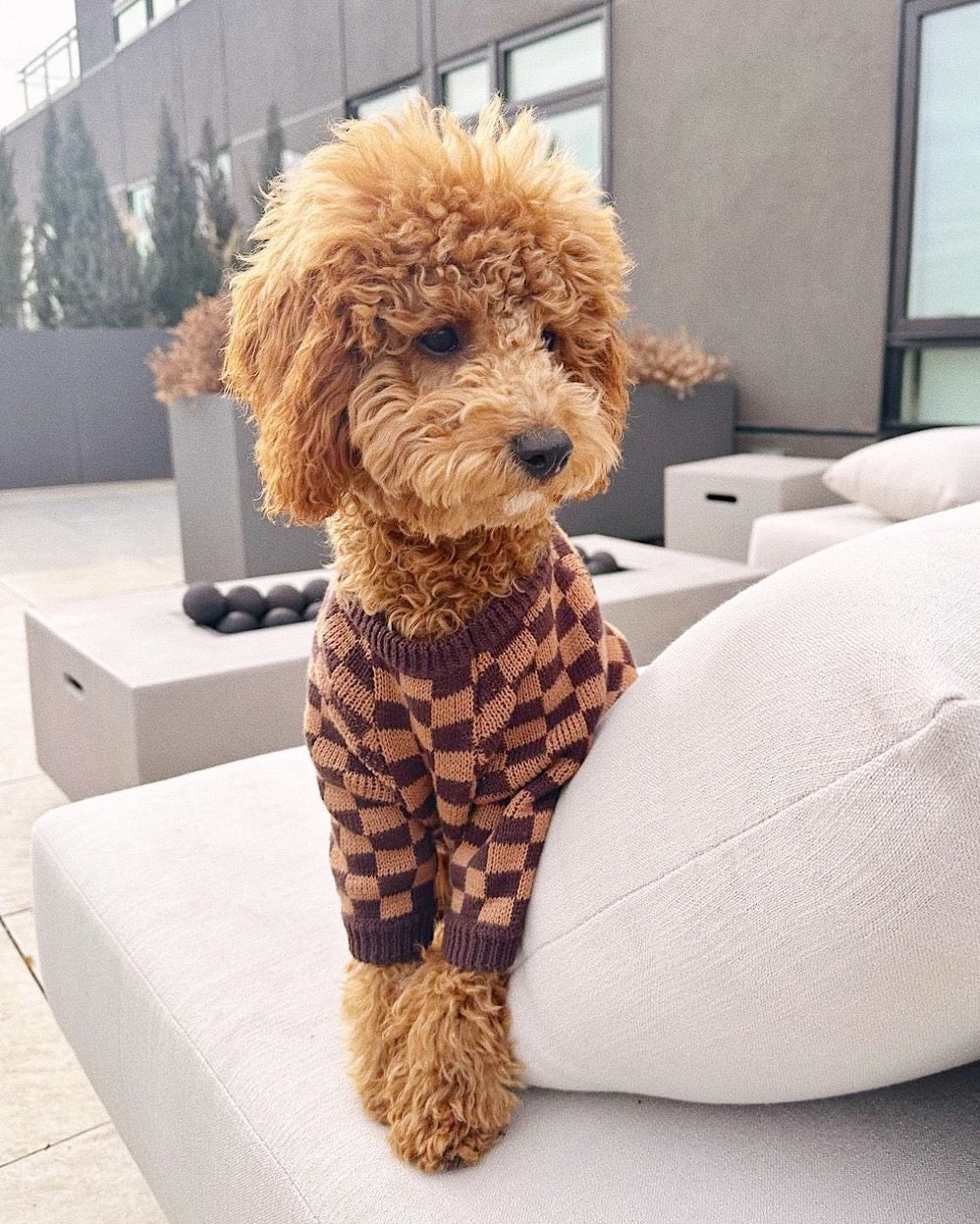 Arlo Brown Check Dog Sweater - Image 11