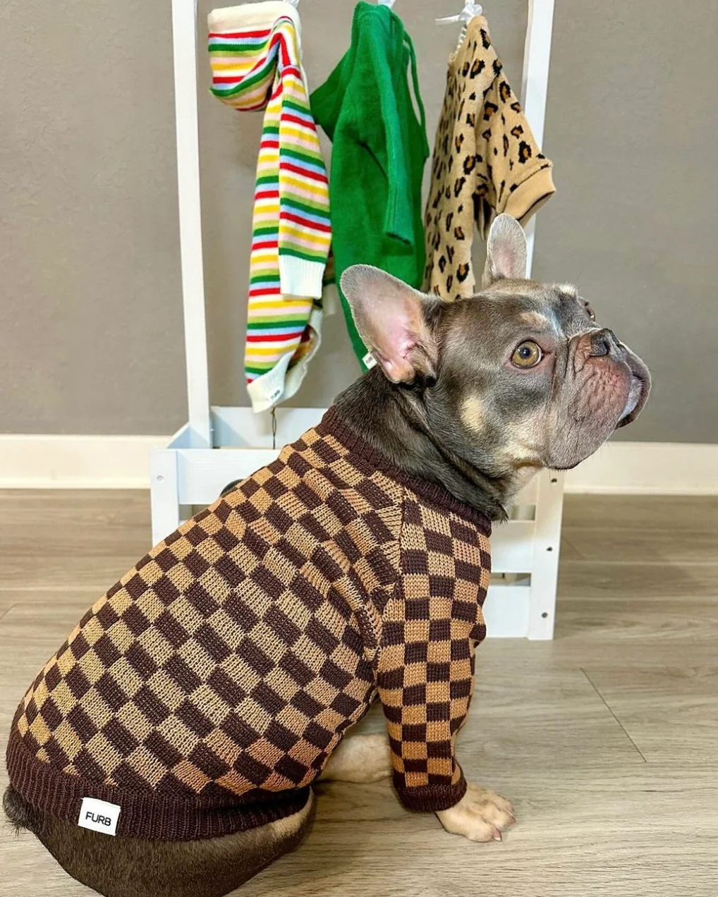 Arlo Brown Check Dog Sweater - Image 14