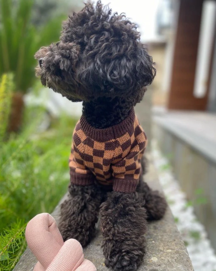 Arlo Brown Check Dog Sweater - Image 9