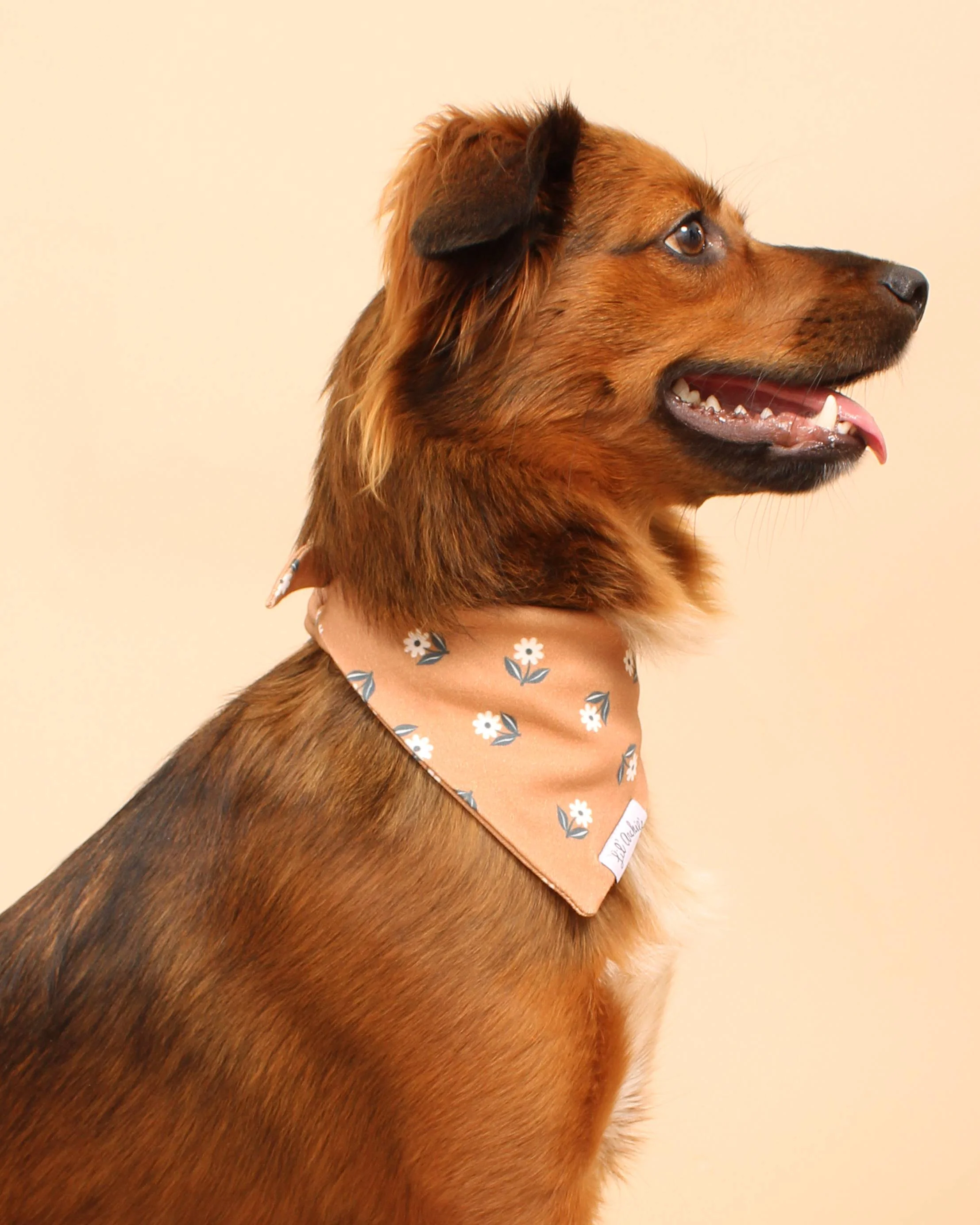 Sedona Floral Organic Cotton Bandana