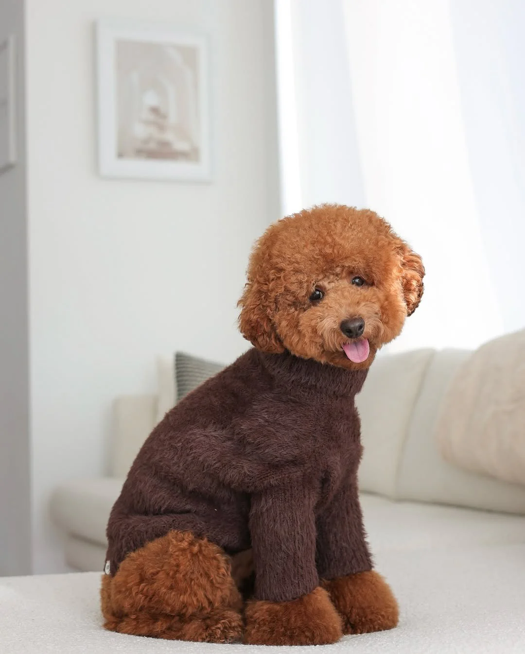 Bobbi Chocolate Eyelash Knit Dog Sweater - Image 4