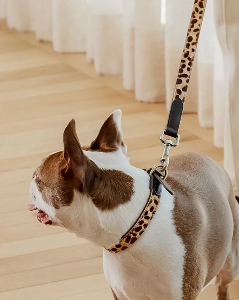 Wylde Brown Spotted Pony Fur Dog Collar - Image 3