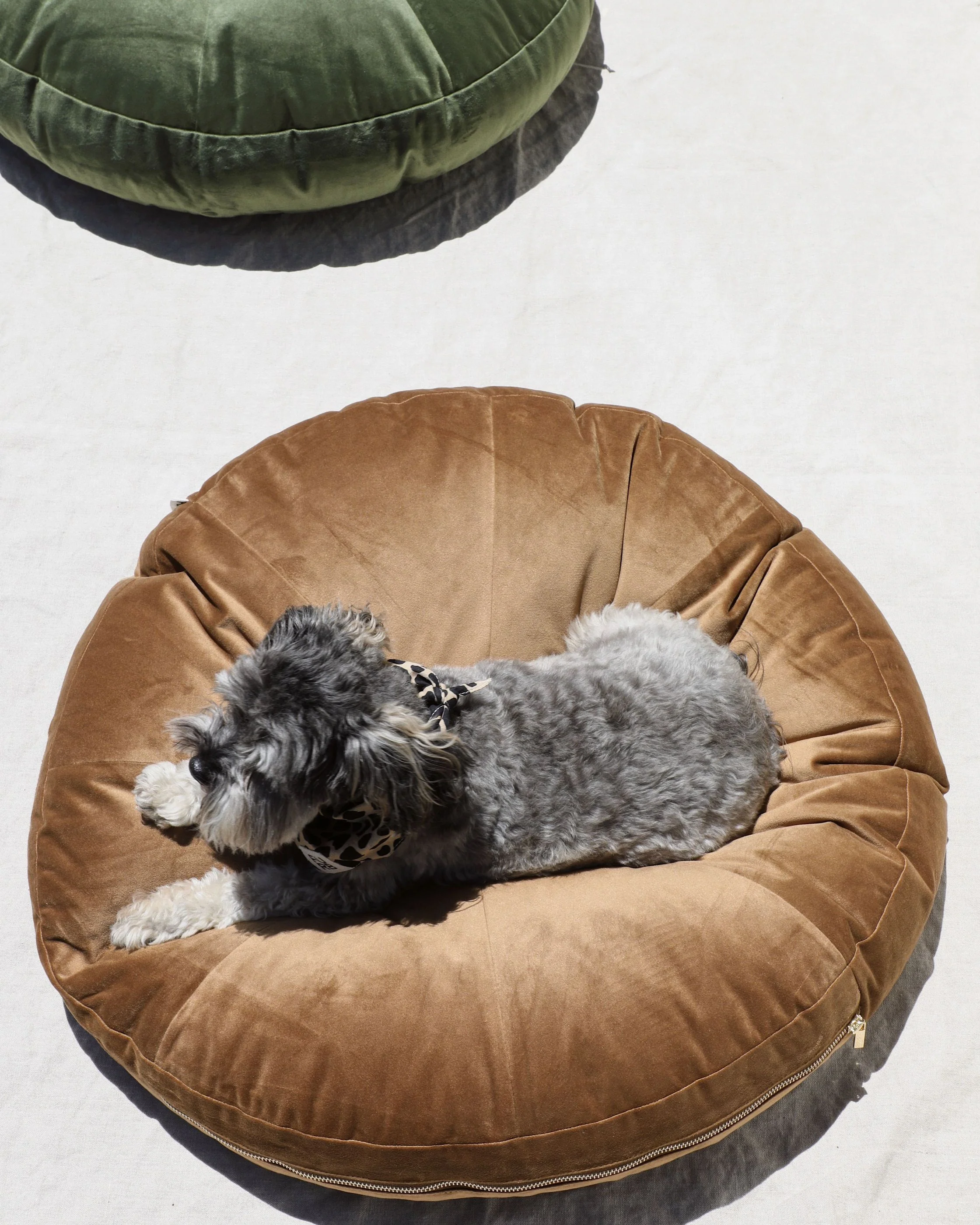 Laurel Nutmeg Round Velvet Dog Bed - Image 6