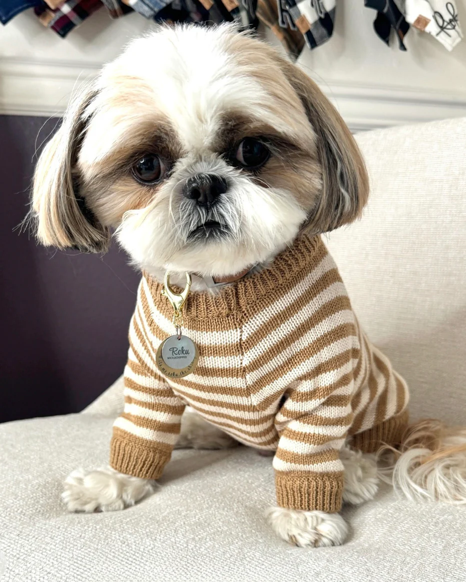 Like A Bandit Nutmeg Striped Dog Sweater - Image 11
