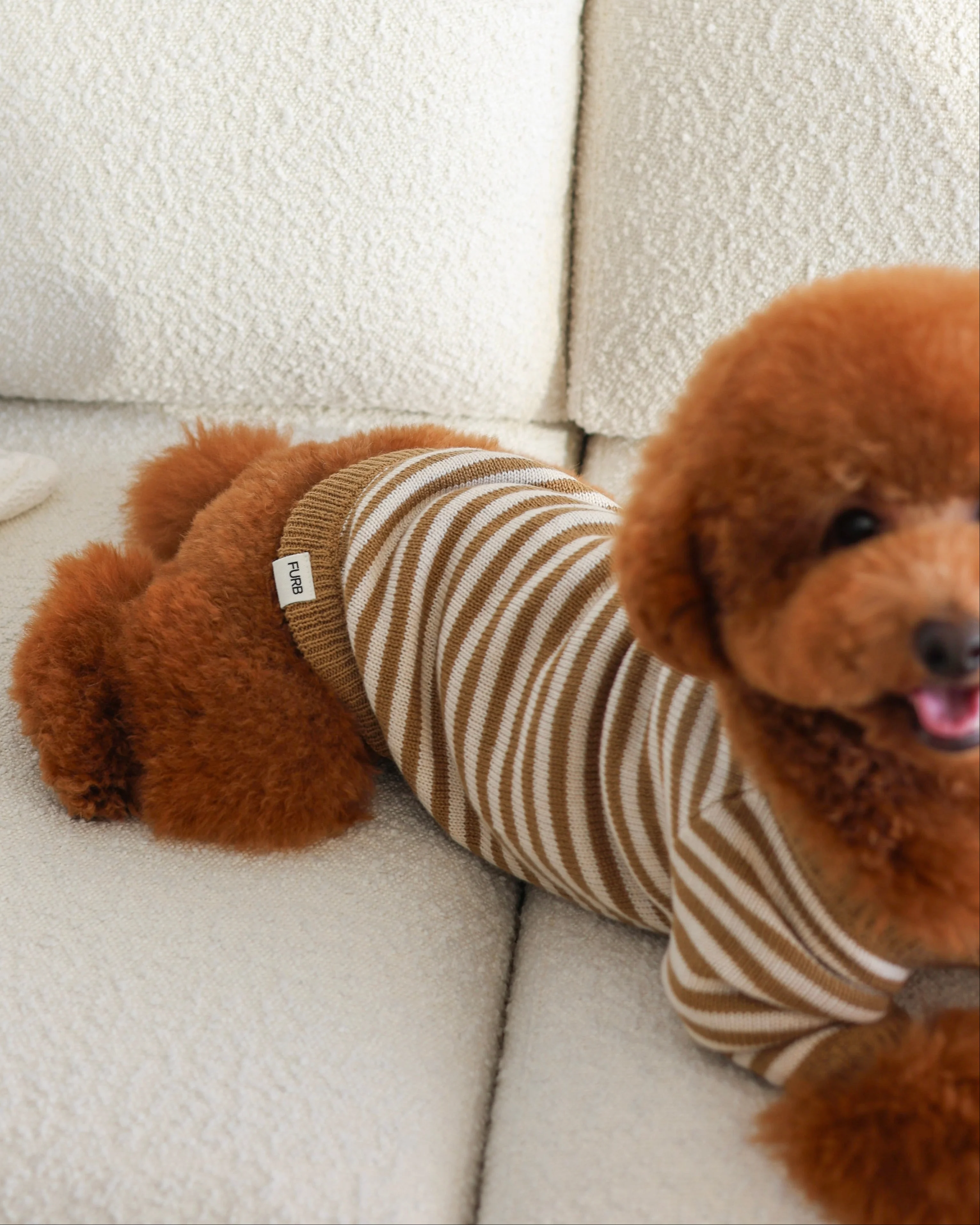 Like A Bandit Nutmeg Striped Dog Sweater - Image 13