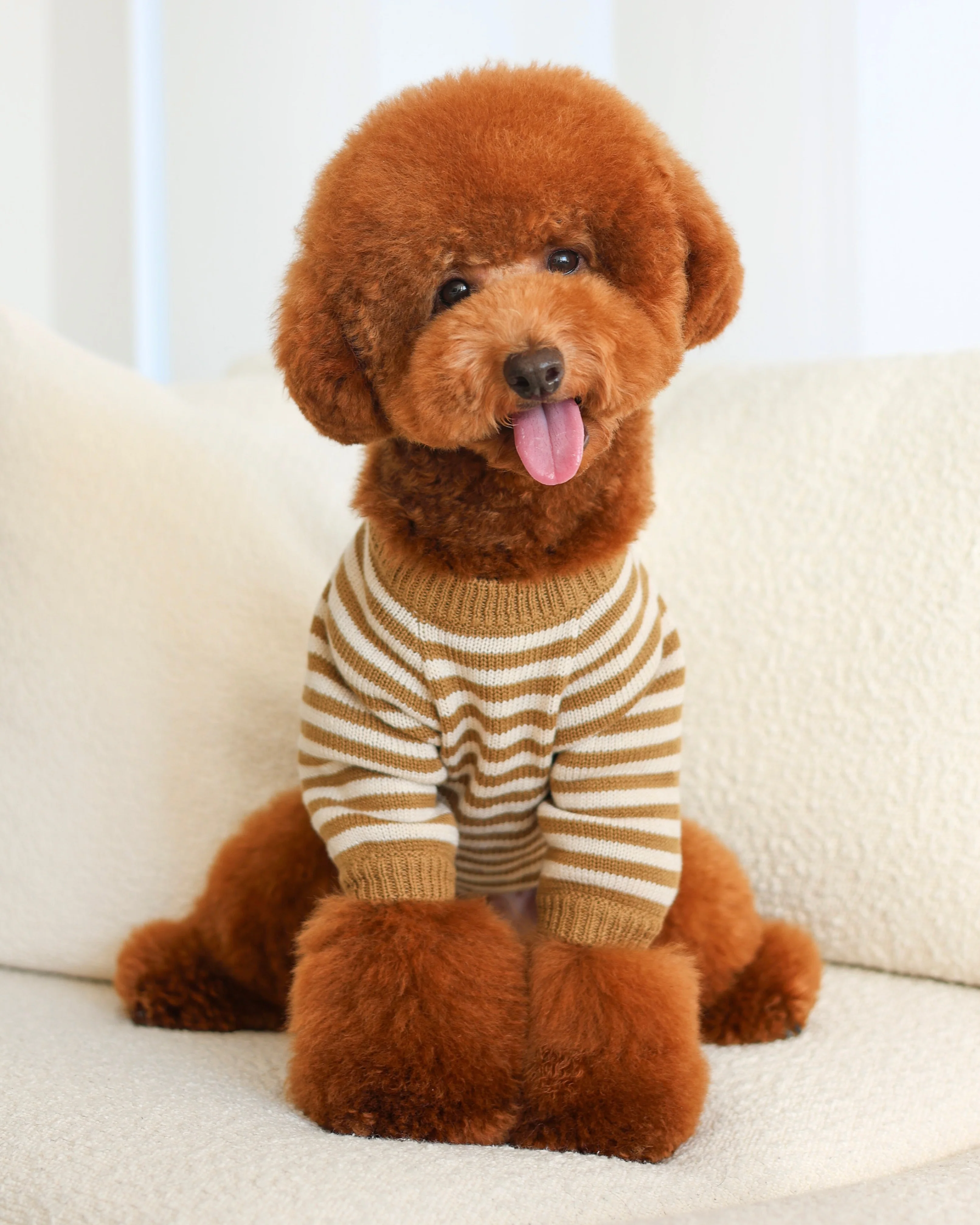 Like A Bandit Nutmeg Striped Dog Sweater - Image 14
