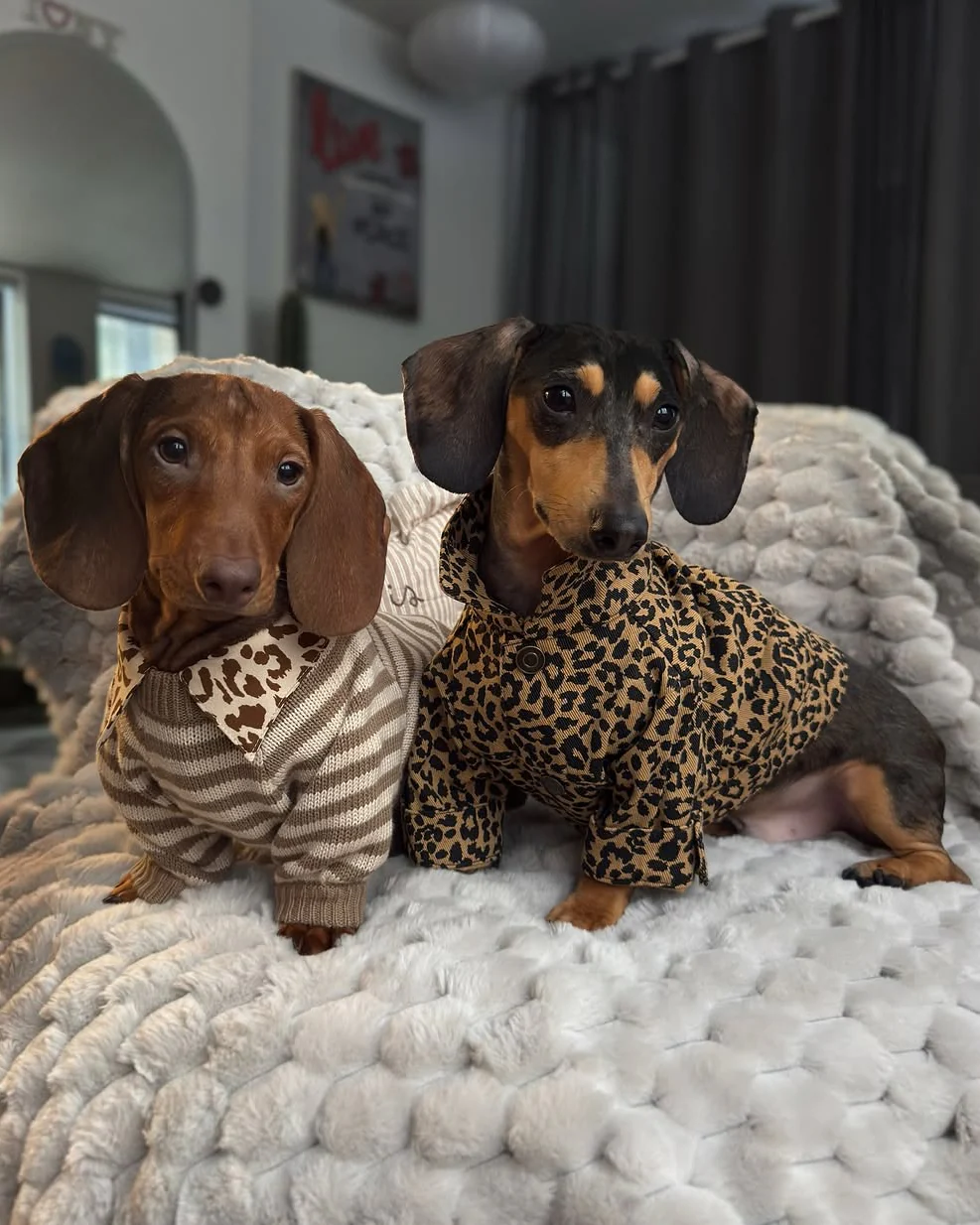 Like A Bandit Nutmeg Striped Dog Sweater - Image 17
