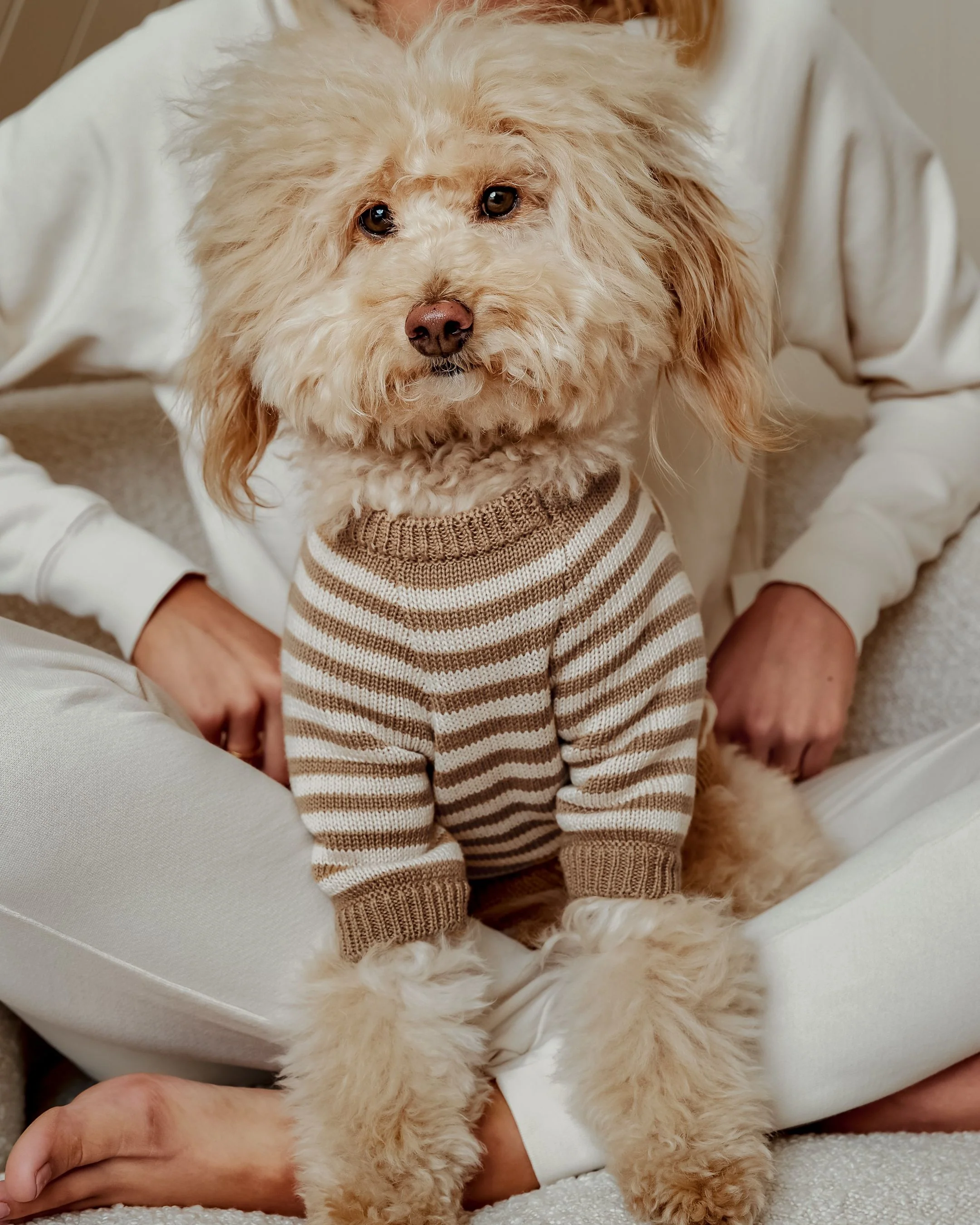 Like A Bandit Nutmeg Striped Dog Sweater - Image 6