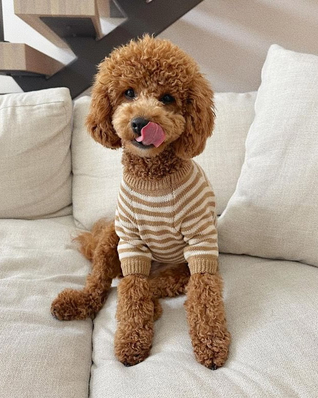 Like A Bandit Nutmeg Striped Dog Sweater - Image 8