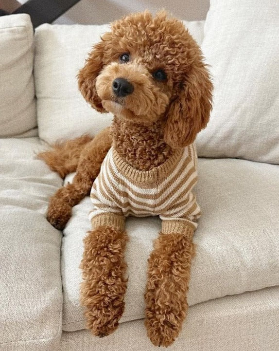 Like A Bandit Nutmeg Striped Dog Sweater - Image 9