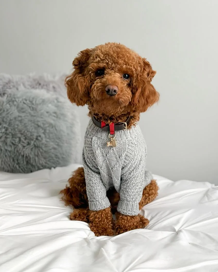 Aspen Grey Cable Knit Sweater - Image 2