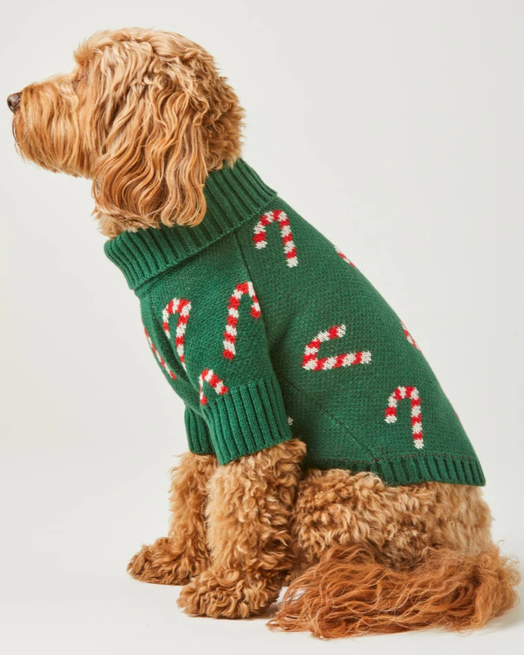 Candy Cutie Green Knit Dog Sweater - Image 3